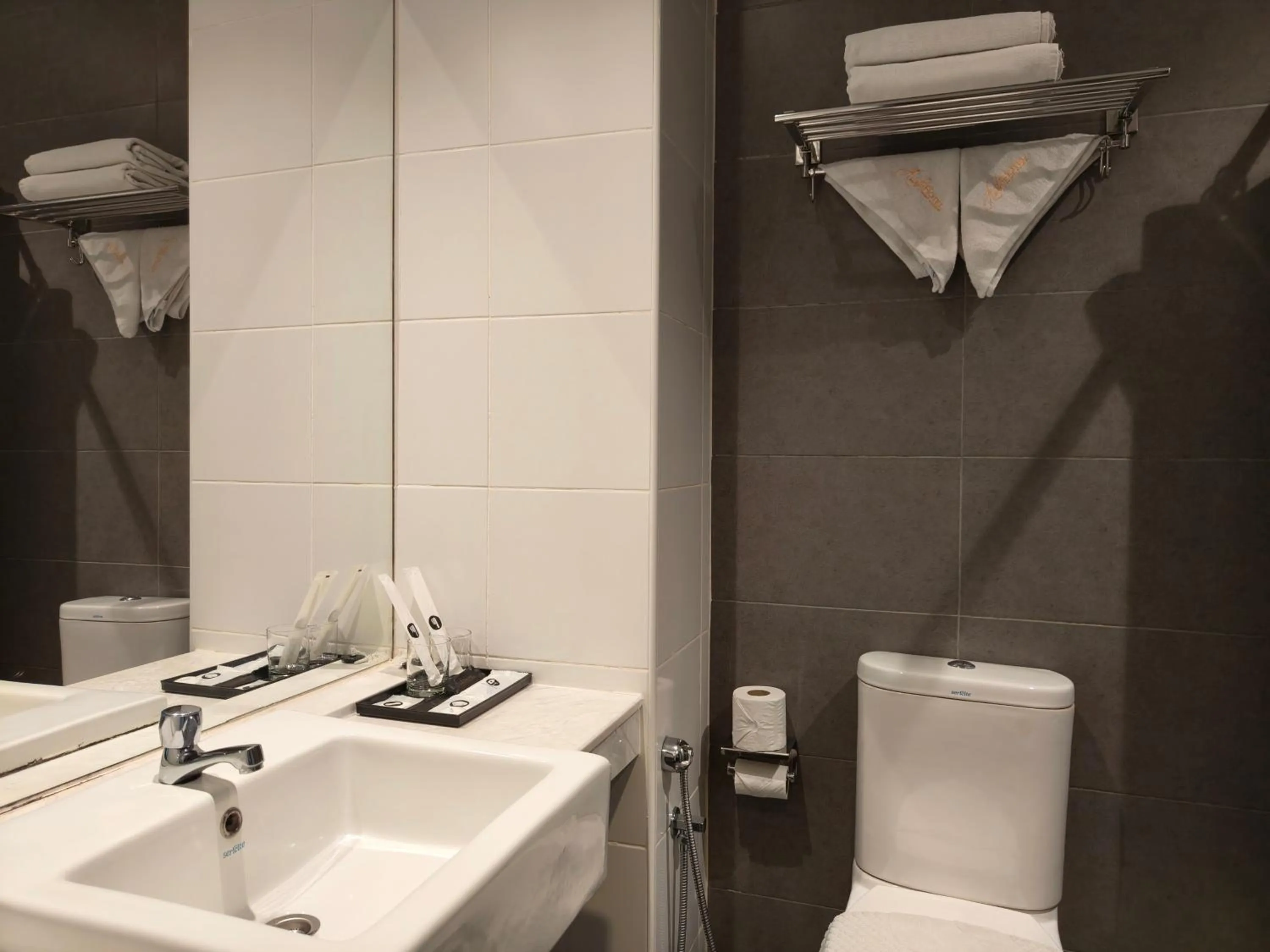 Toilet in Asiatic Hotel