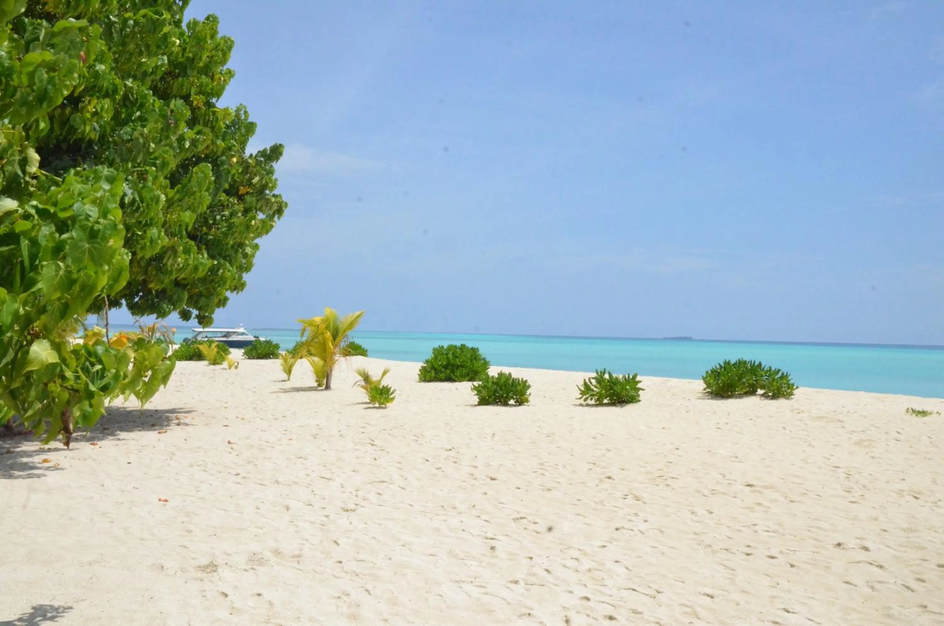 Beach in Island Break