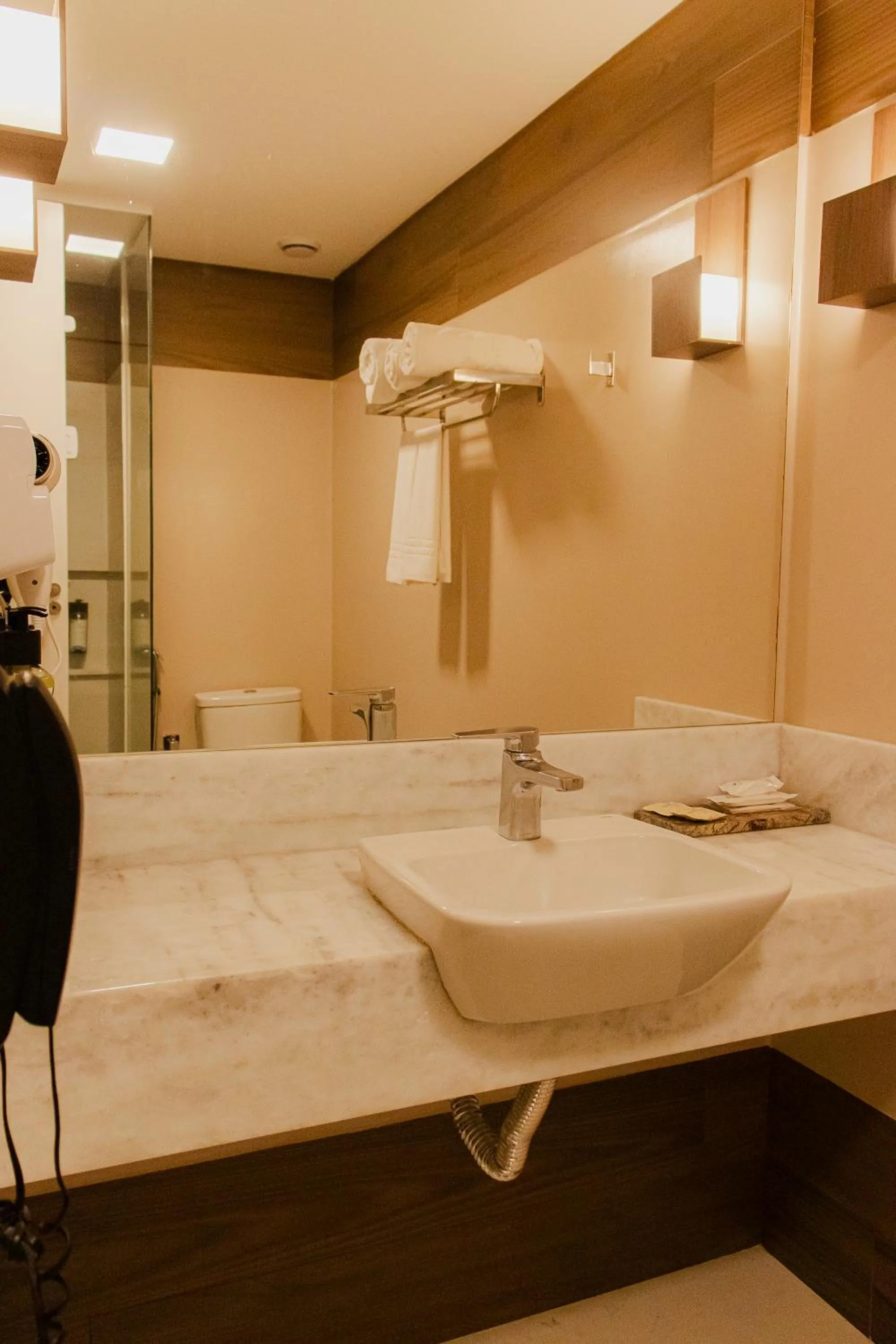 Toilet in Recanto Cataratas - Thermas, Resort e Convention