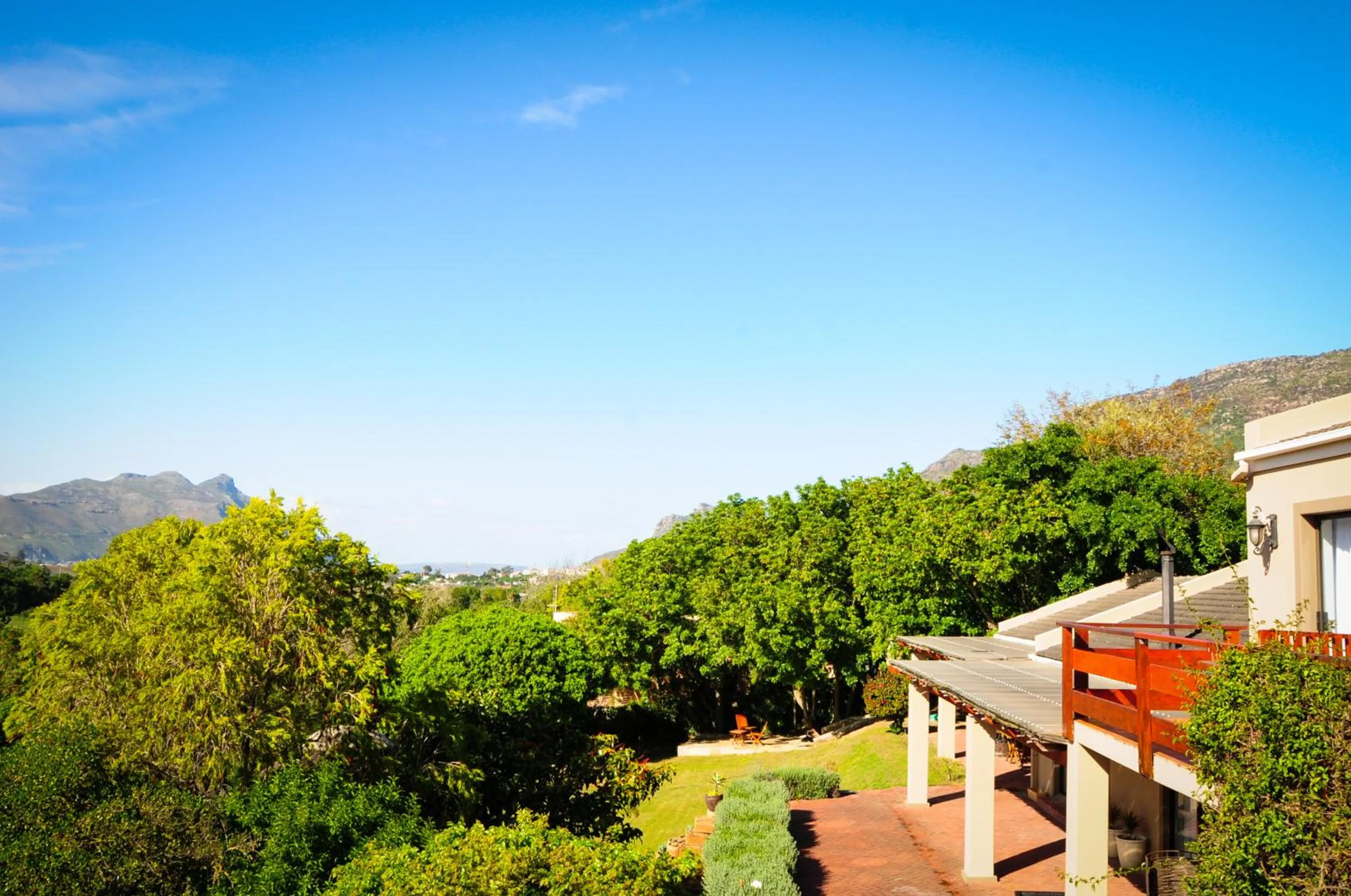 Garden view in The Salt House Guest House in Hout Bay