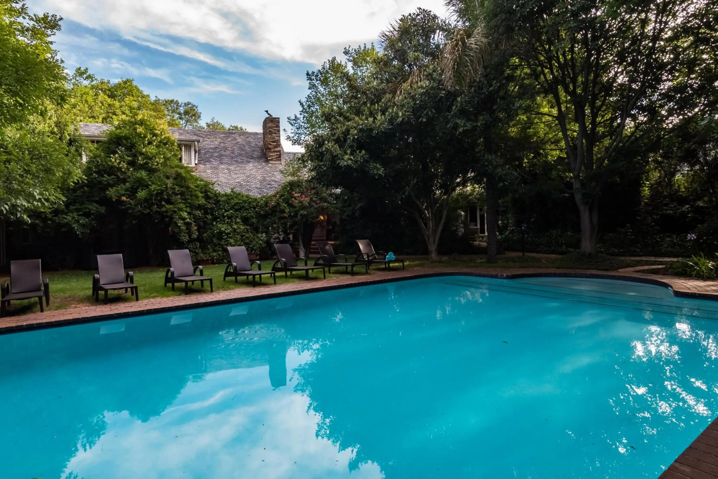 Garden in Melrose Place Boutique Hotel