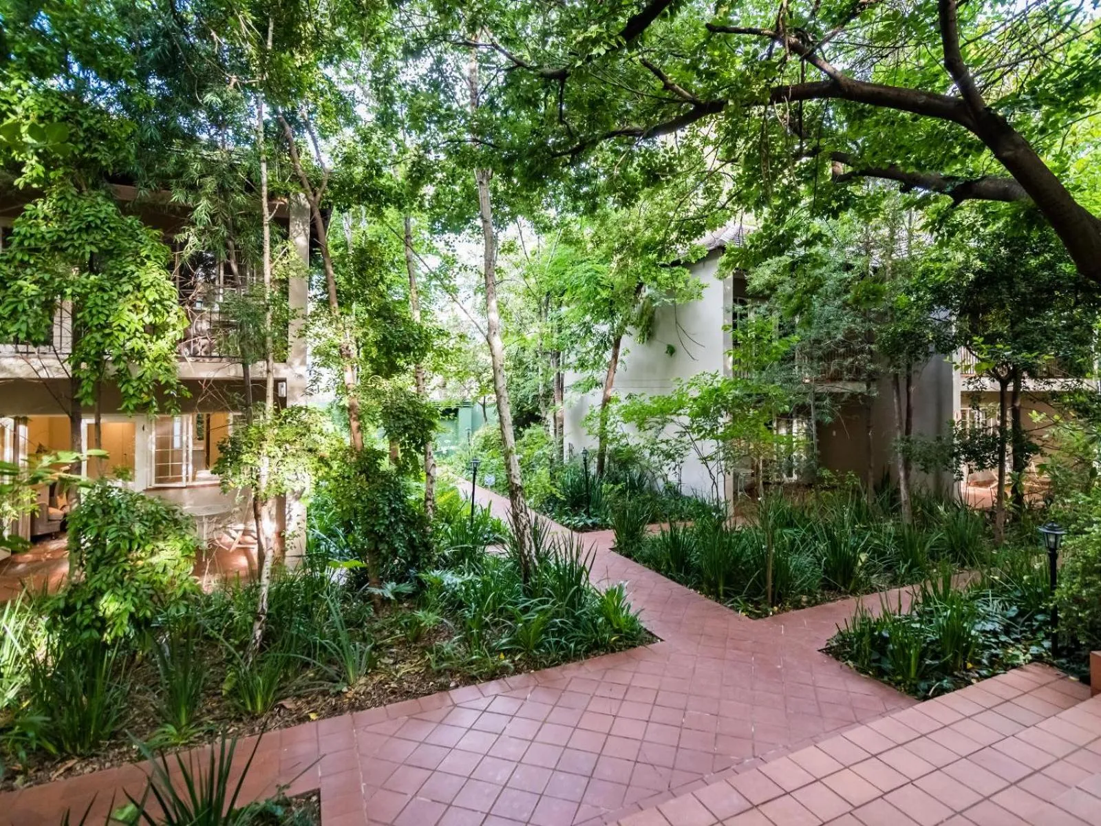 Garden in Melrose Place Boutique Hotel