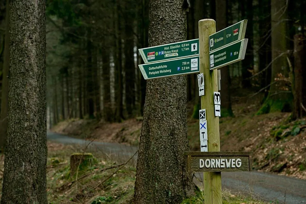 Hiking in Panorama Hotel