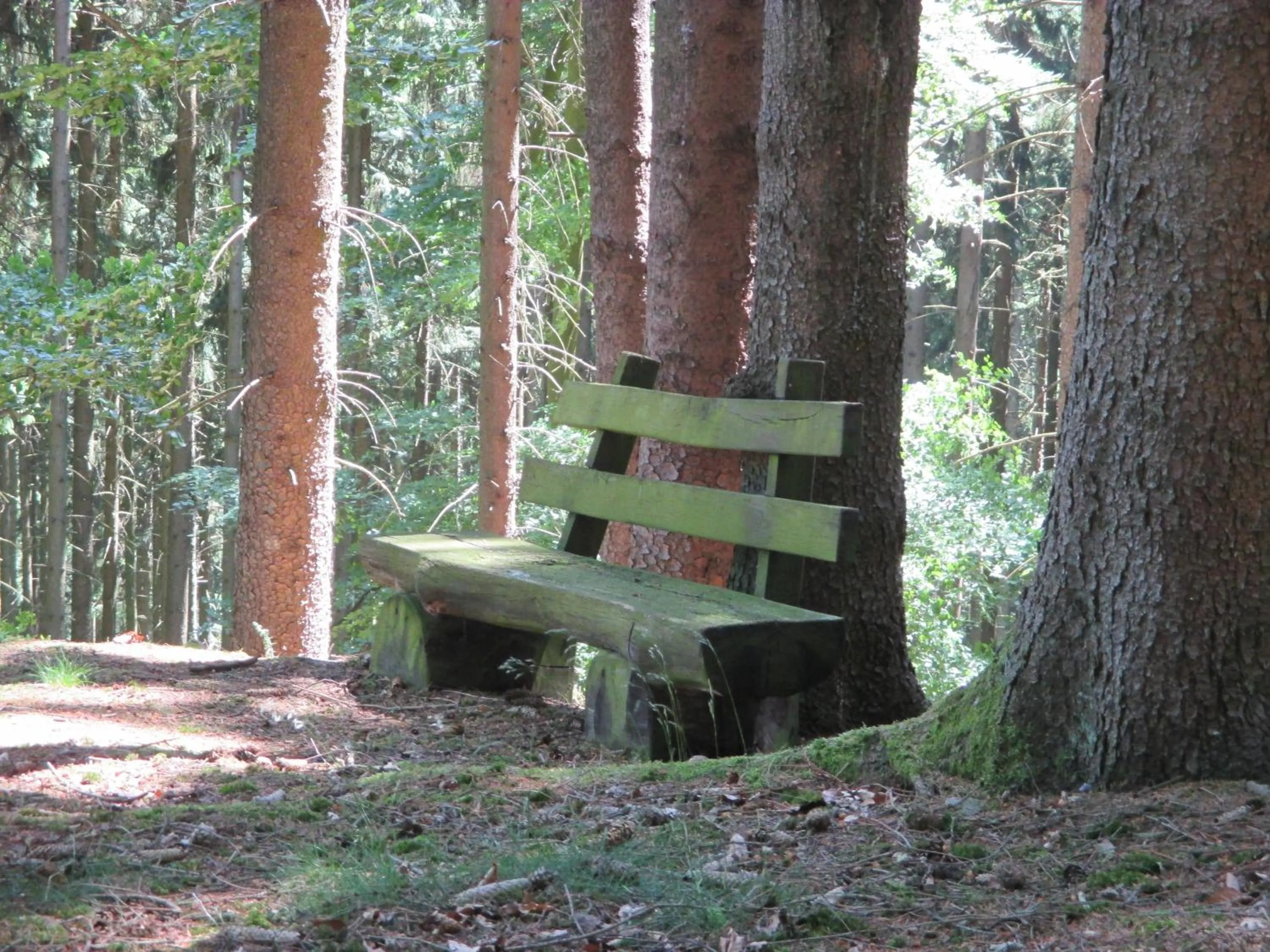 Area and facilities in Panorama Hotel