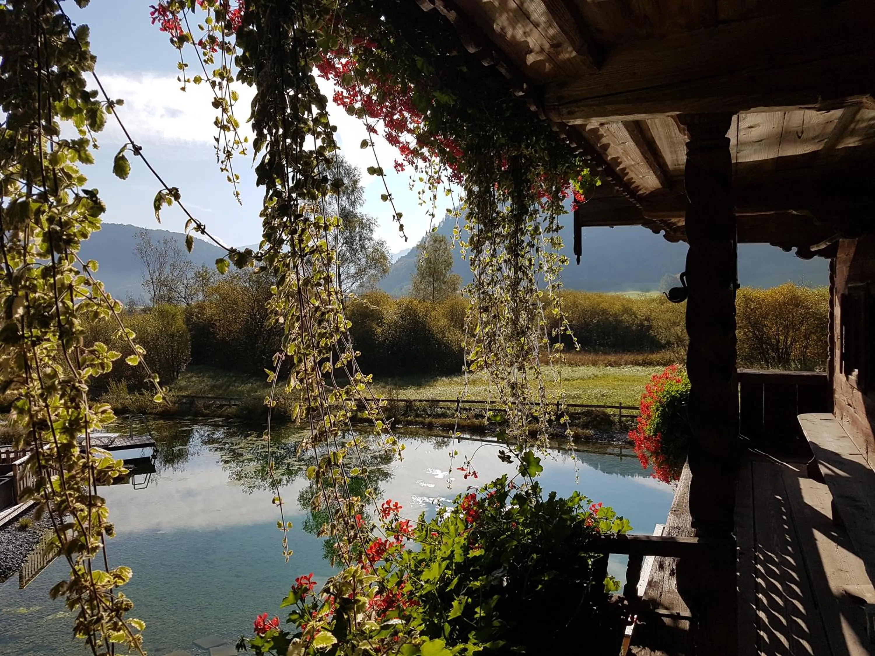 Balcony/Terrace in Golf- und Sporthotel Moarhof