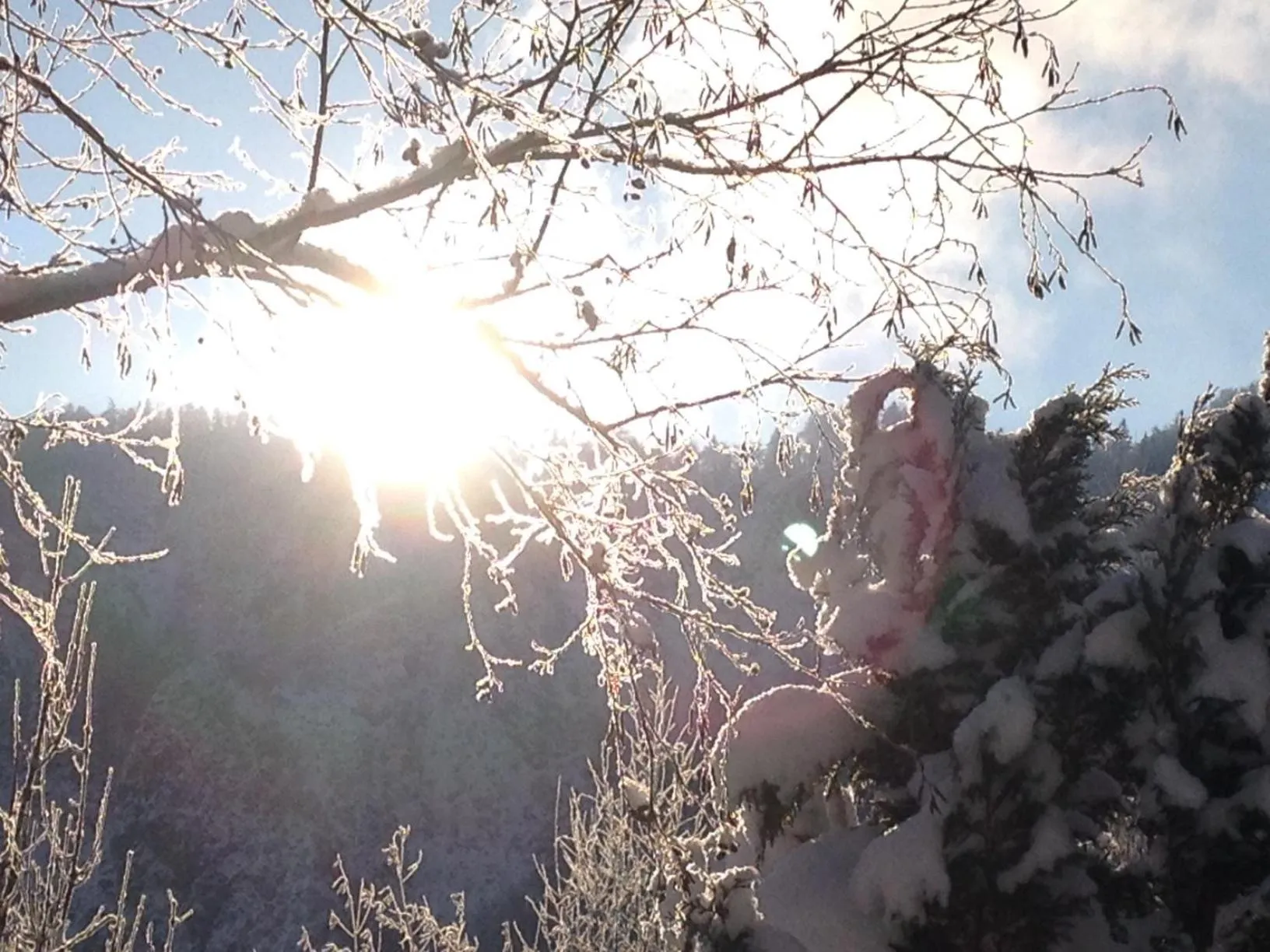 Winter in Golf- und Sporthotel Moarhof