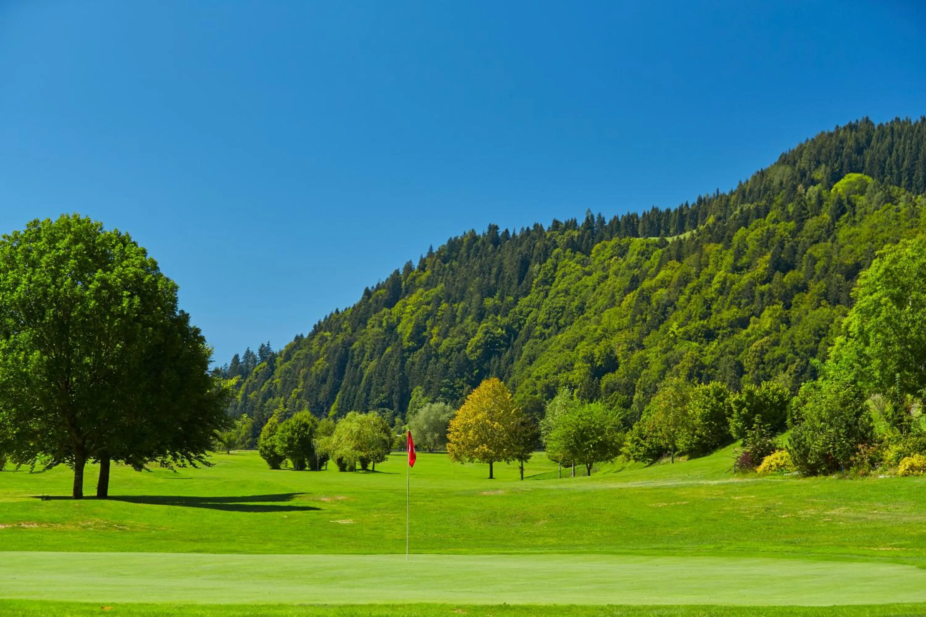 Golfcourse in Golf- und Sporthotel Moarhof