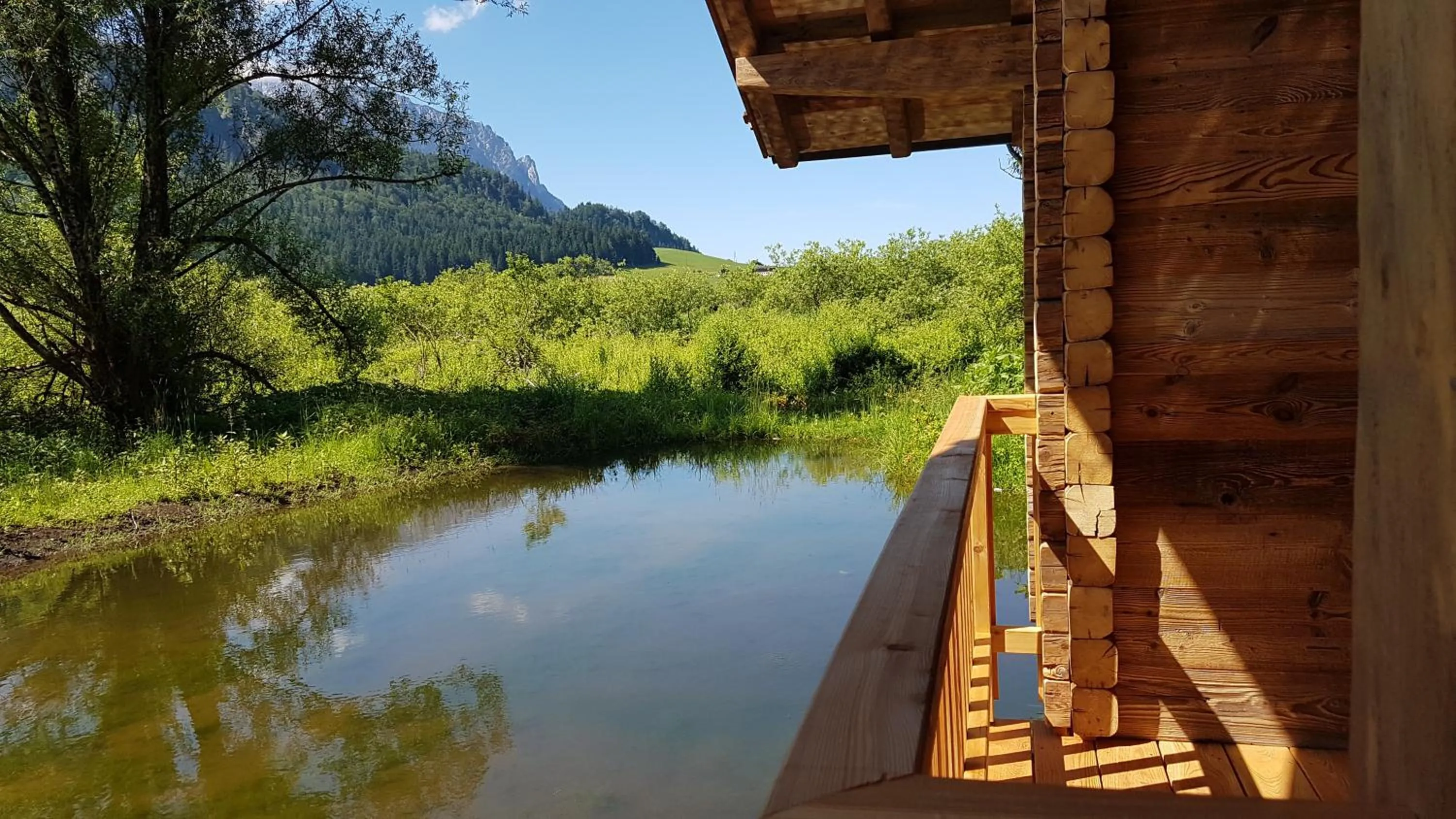 Balcony/Terrace in Golf- und Sporthotel Moarhof
