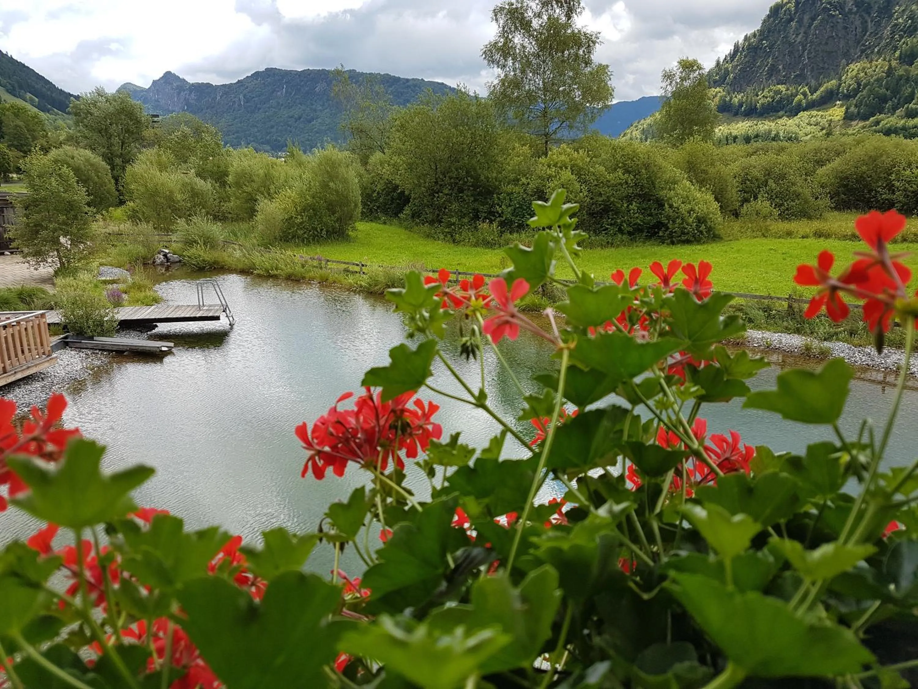 Pool view in Golf- und Sporthotel Moarhof