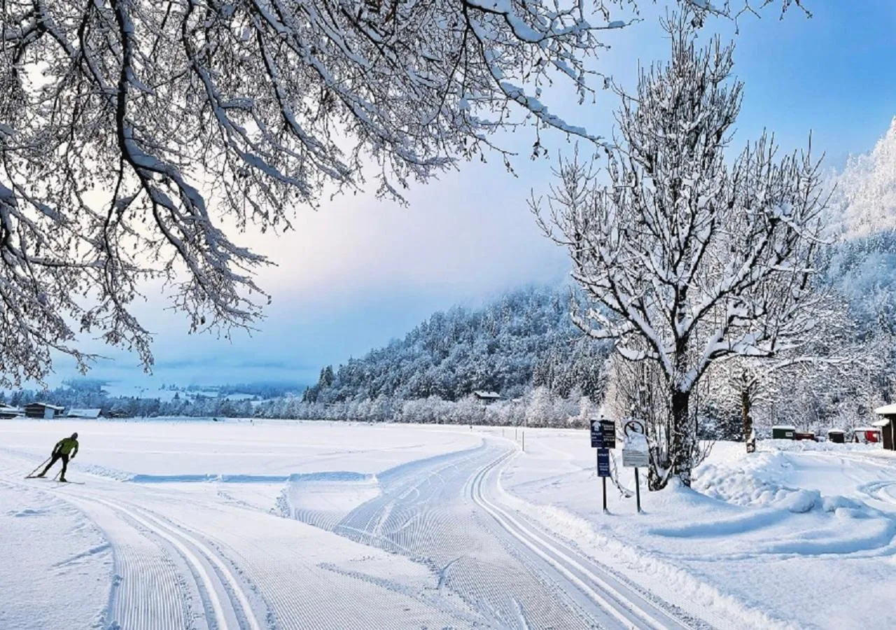 Winter in Golf- und Sporthotel Moarhof