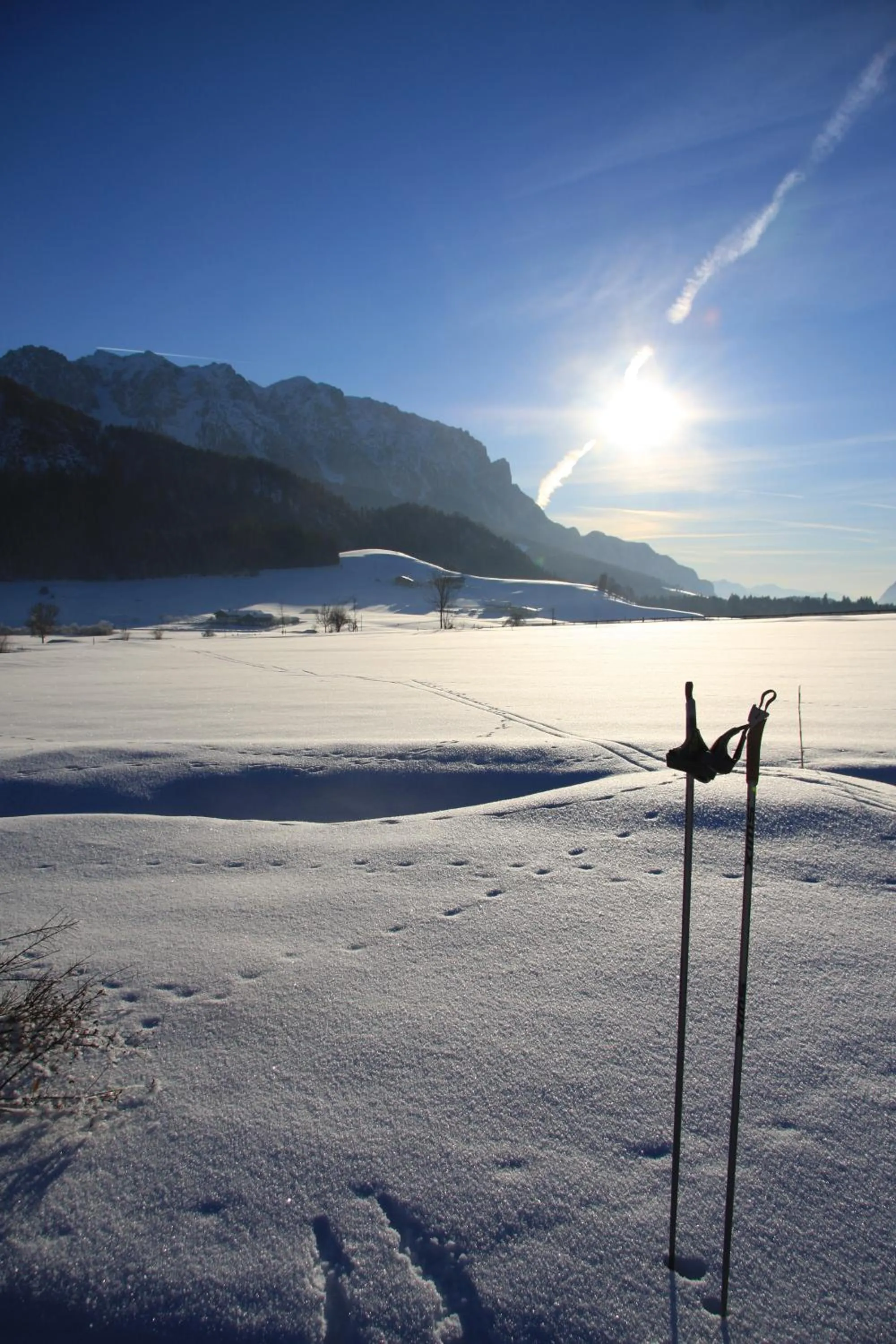 Winter in Golf- und Sporthotel Moarhof