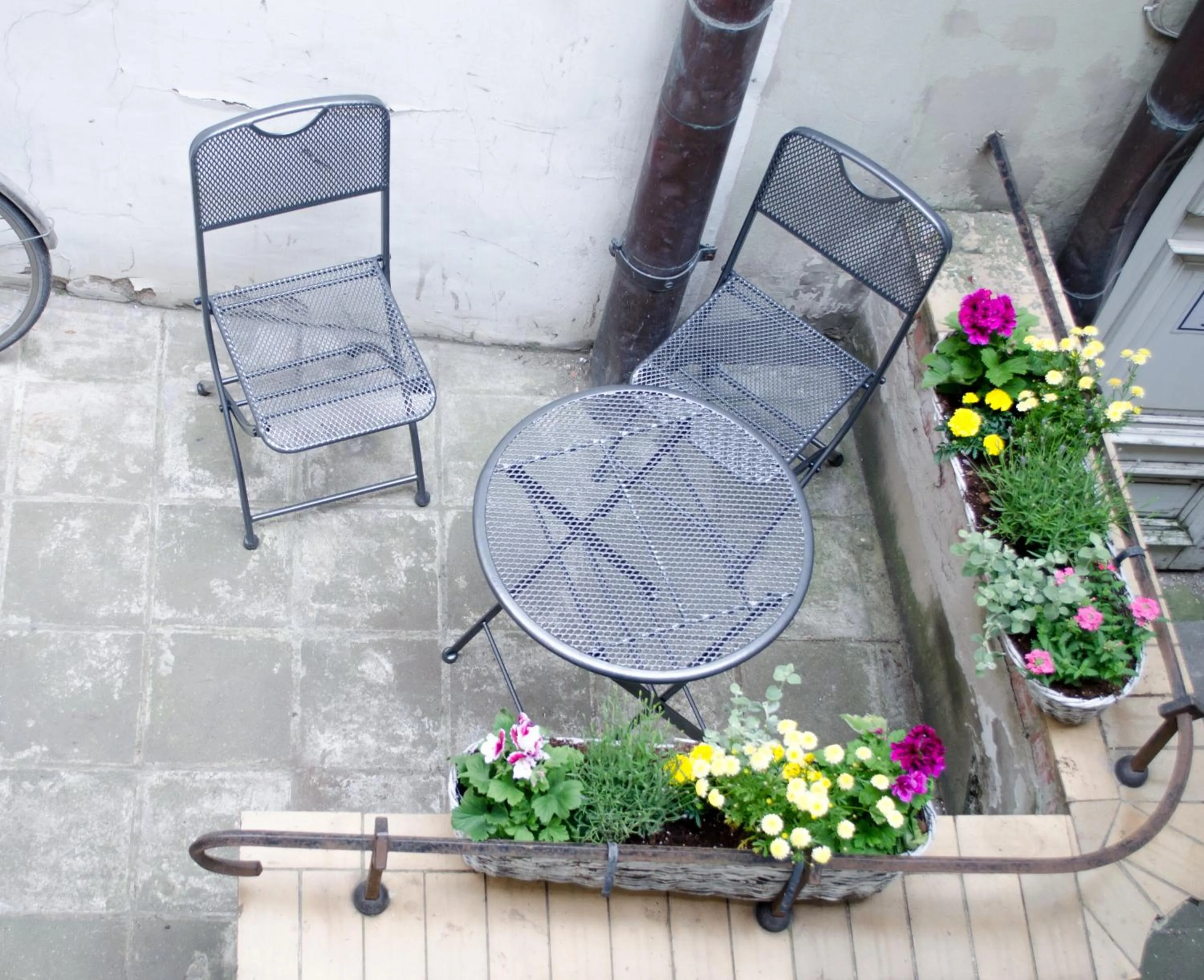 Garden in Red Nose Hostel with Self-Check In