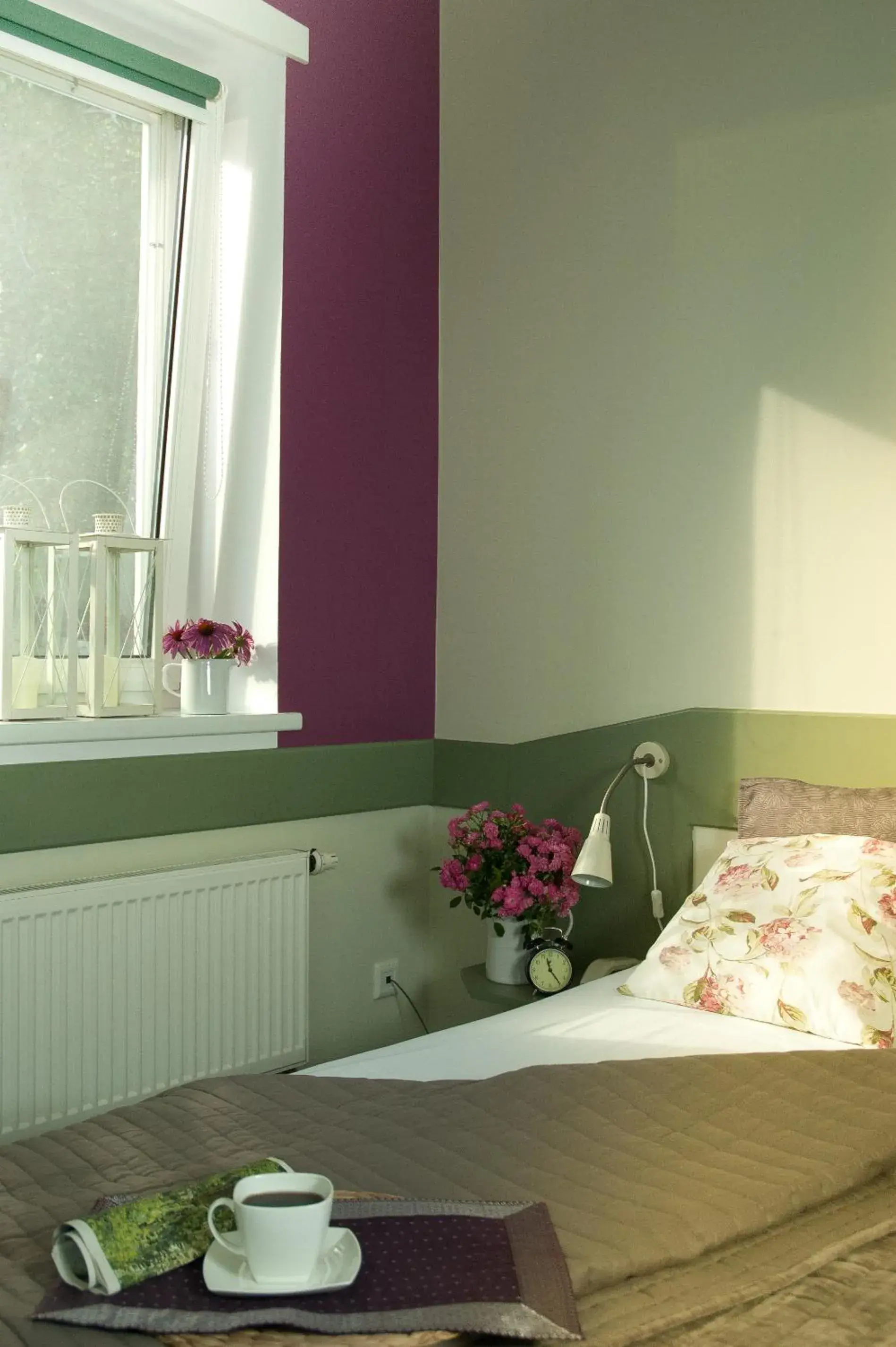 Double Room - single occupancy in Hotel Flora Double Room - single occupancy in Hotel Flora