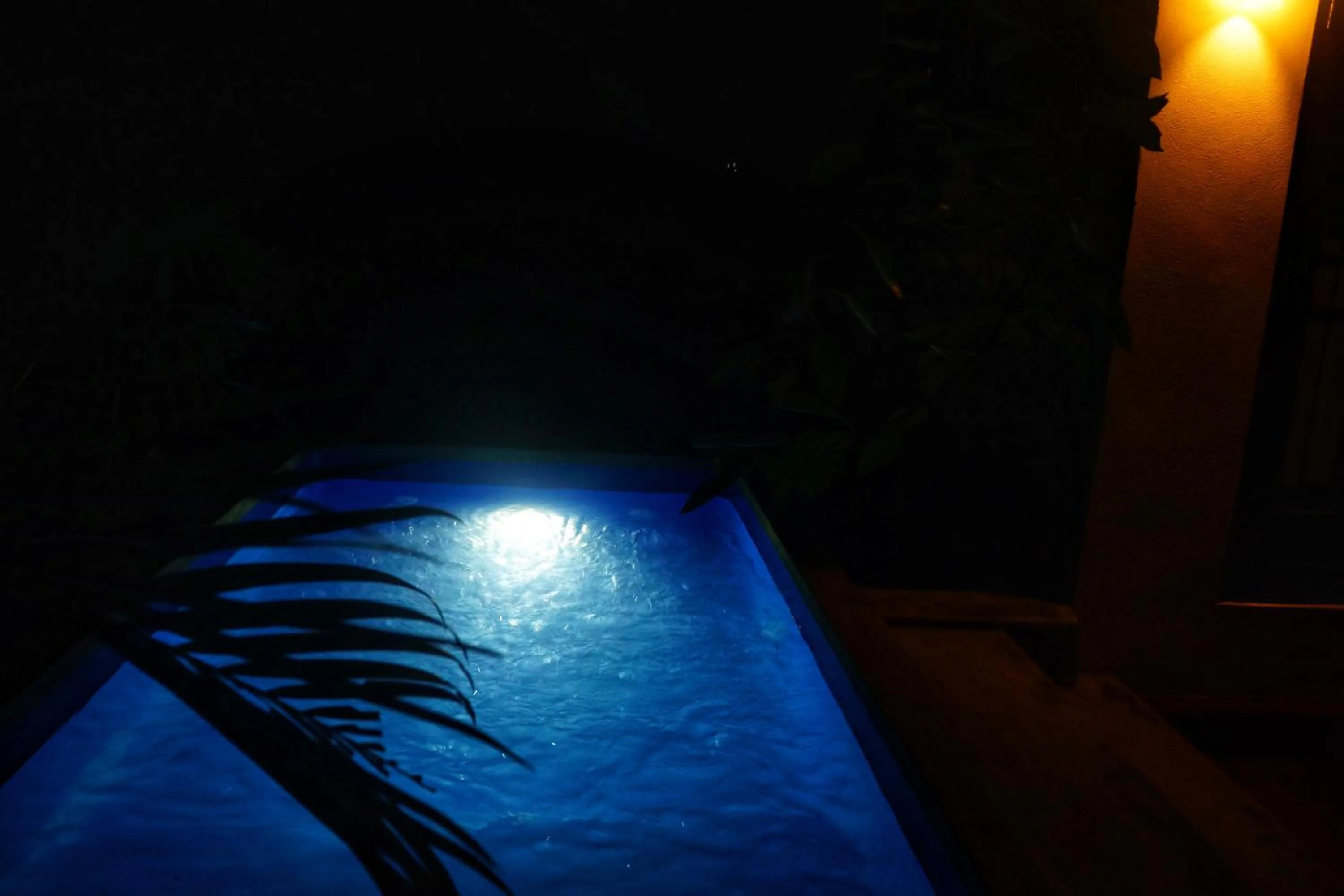 Night in Sunrise Cottage