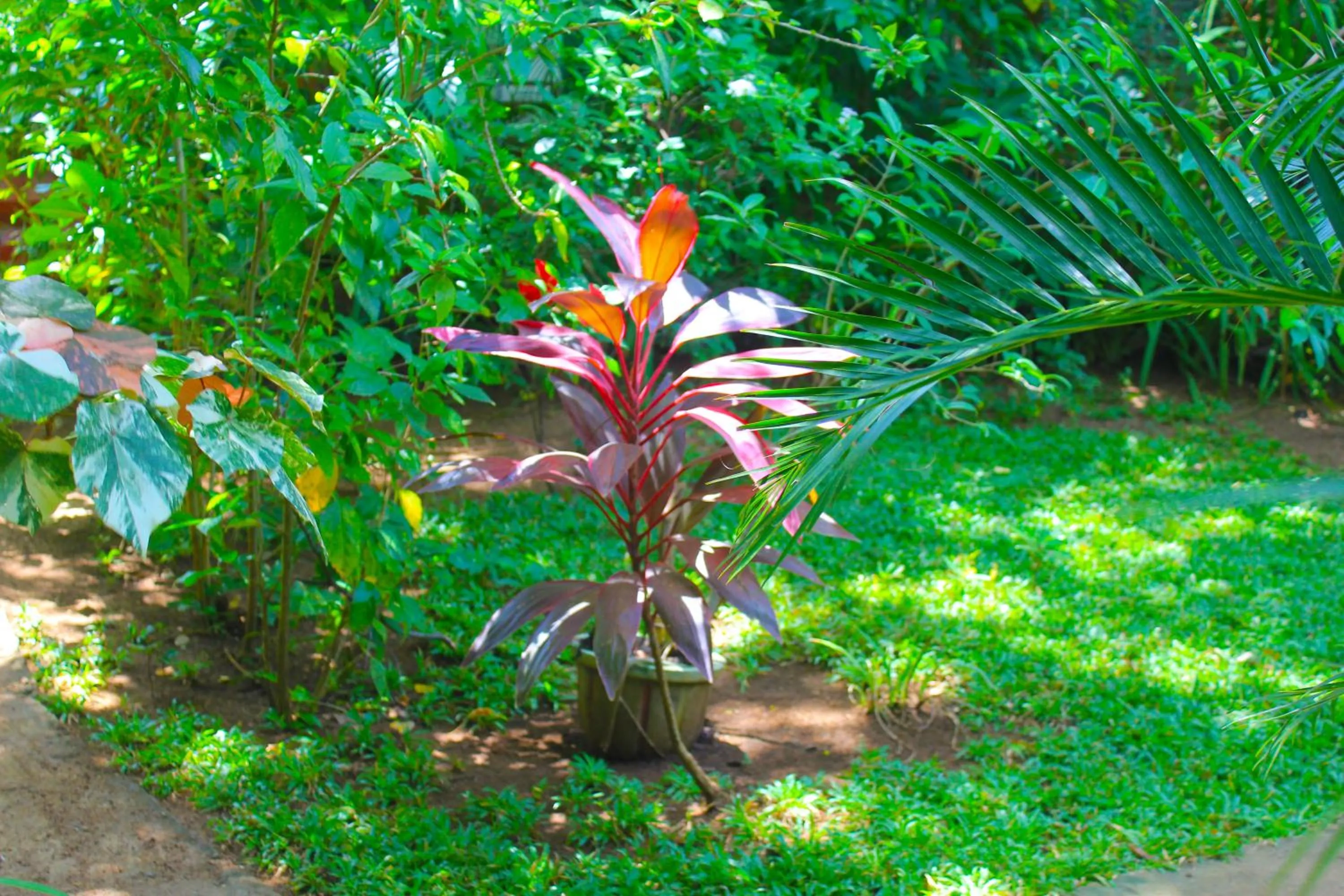 Natural landscape in Sunrise Cottage