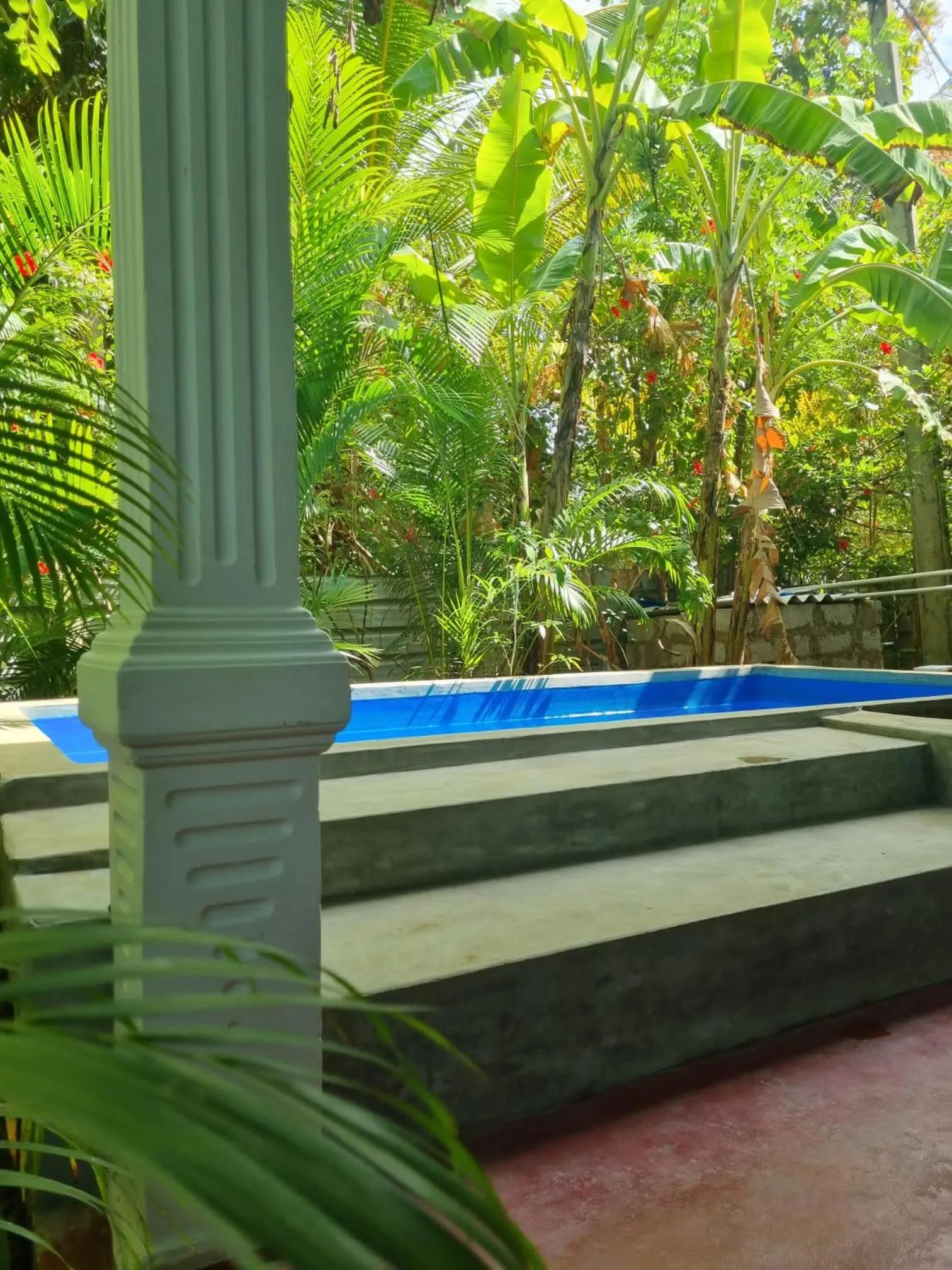 Natural landscape in Sunrise Cottage