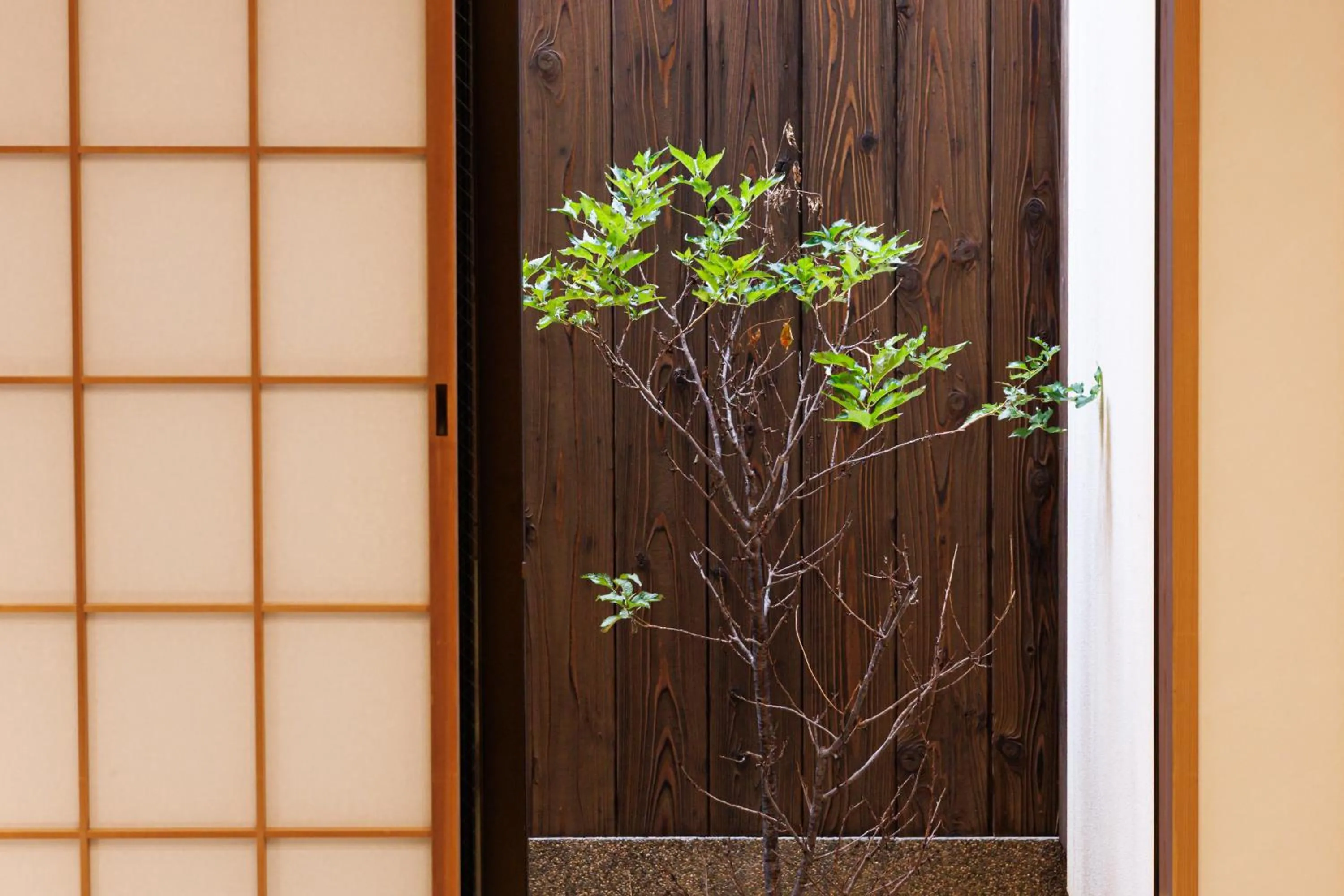 Garden view in Fuga Bettei Shijyo Omiya