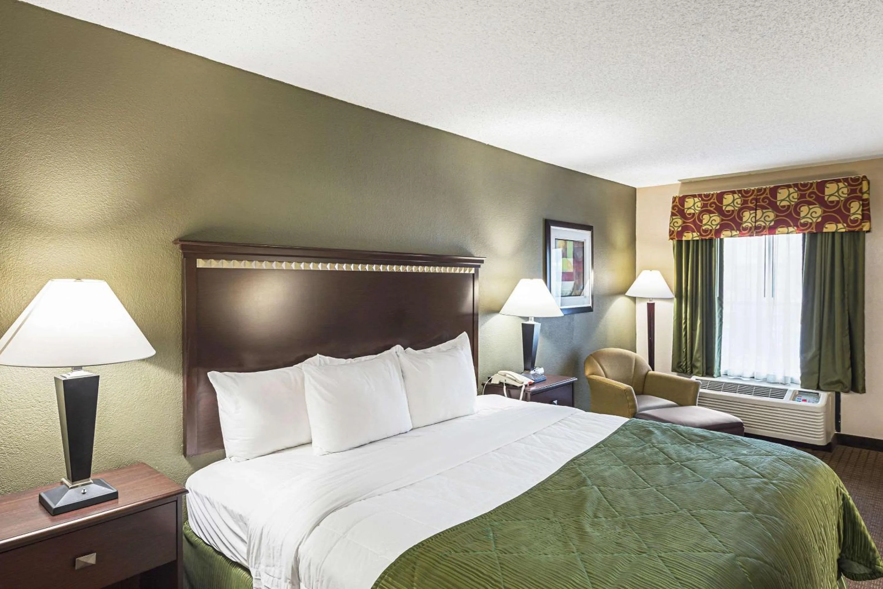 King Room - Non-Smoking in Quality Inn & Suites Greenville - Haywood Mall