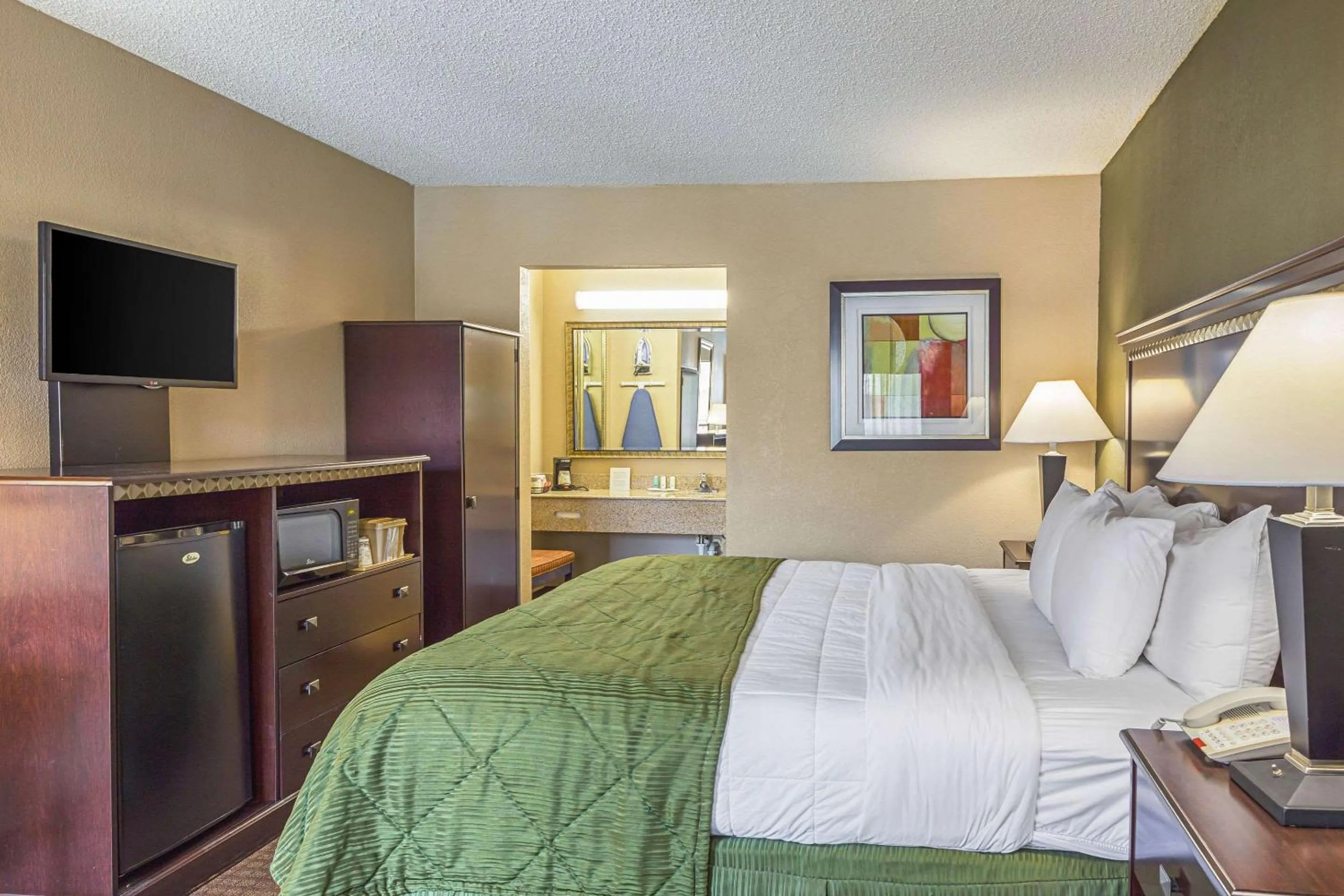 King Room - Accessible/Smoking in Quality Inn & Suites Greenville - Haywood Mall