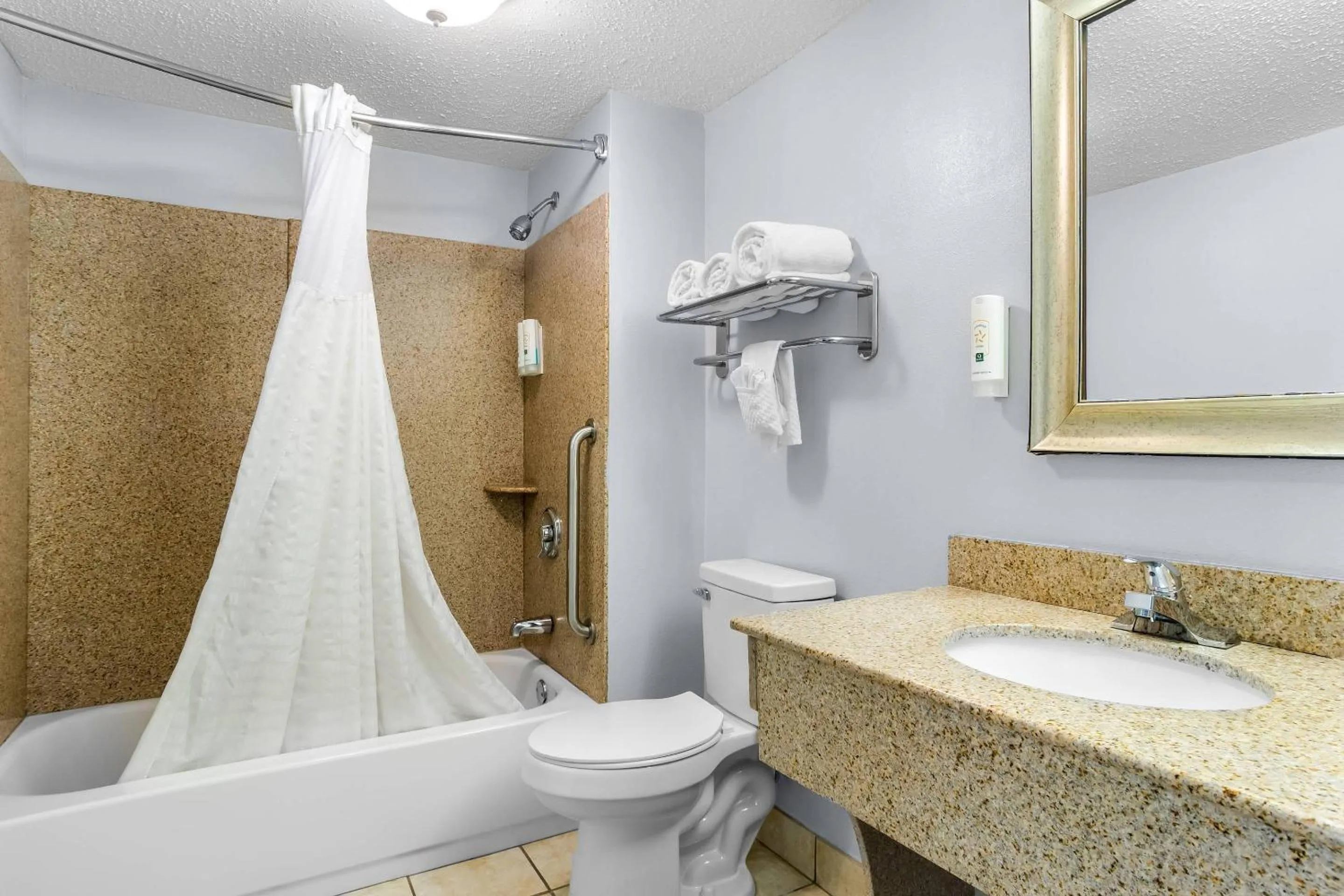 Bedroom in Quality Inn & Suites Greenville - Haywood Mall