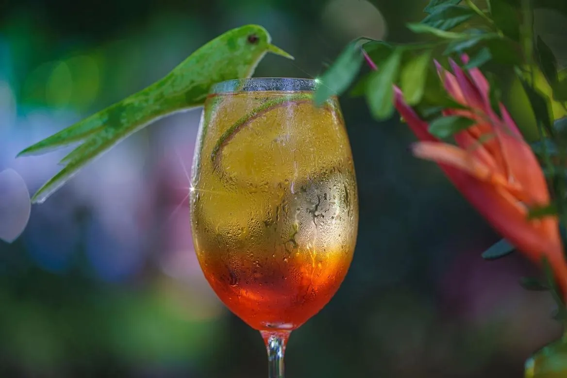 Drinks in Hotel Via dos Corais