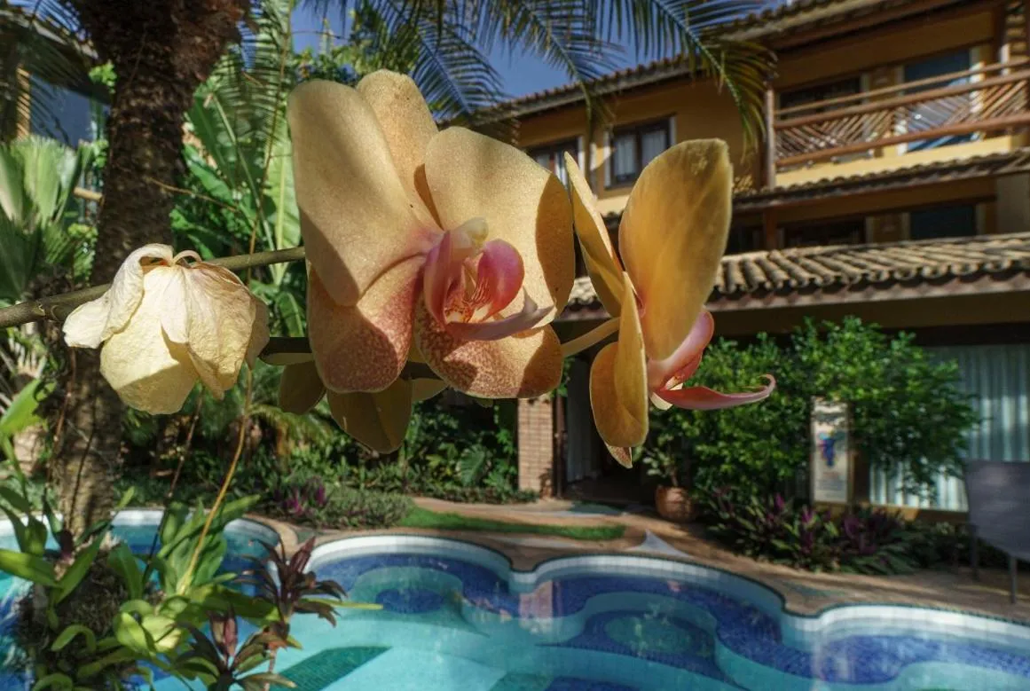 Pool view in Hotel Via dos Corais