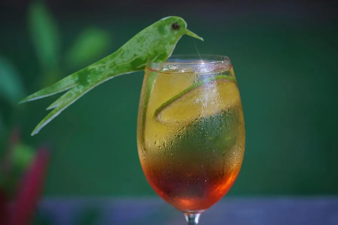 Drinks in Hotel Via dos Corais