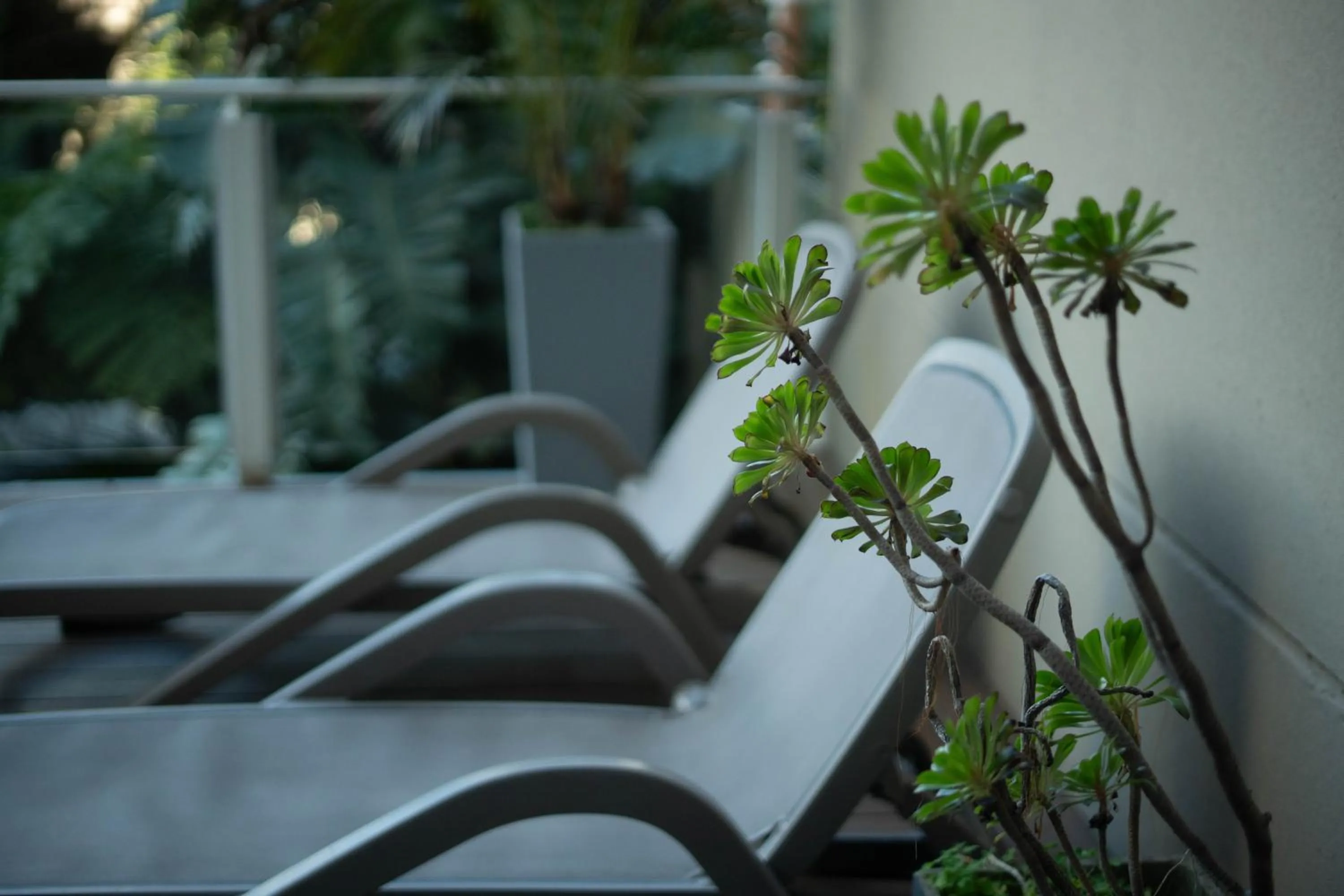 Balcony/Terrace in Fierro Hotel Buenos Aires