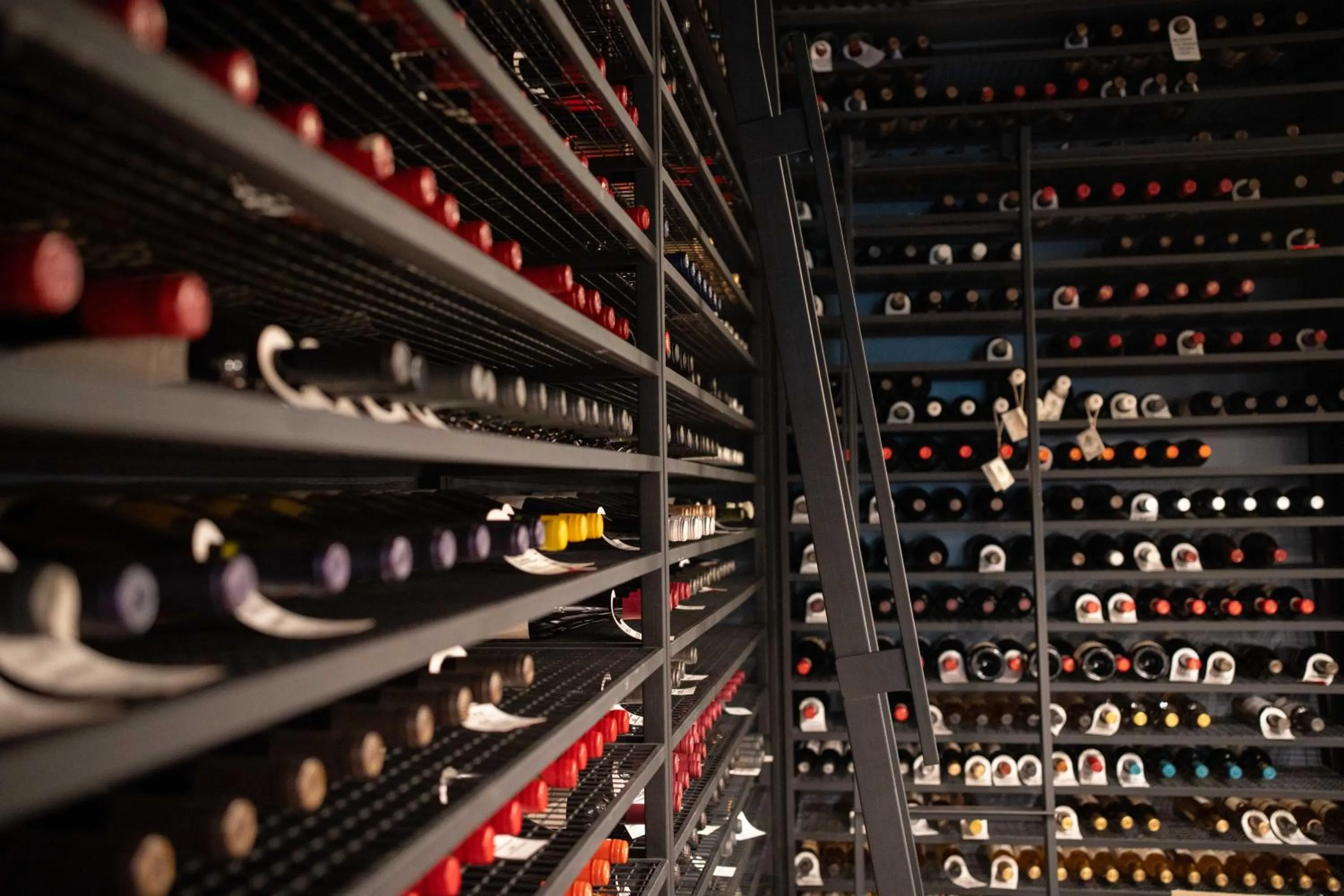 Area and facilities in Fierro Hotel Buenos Aires