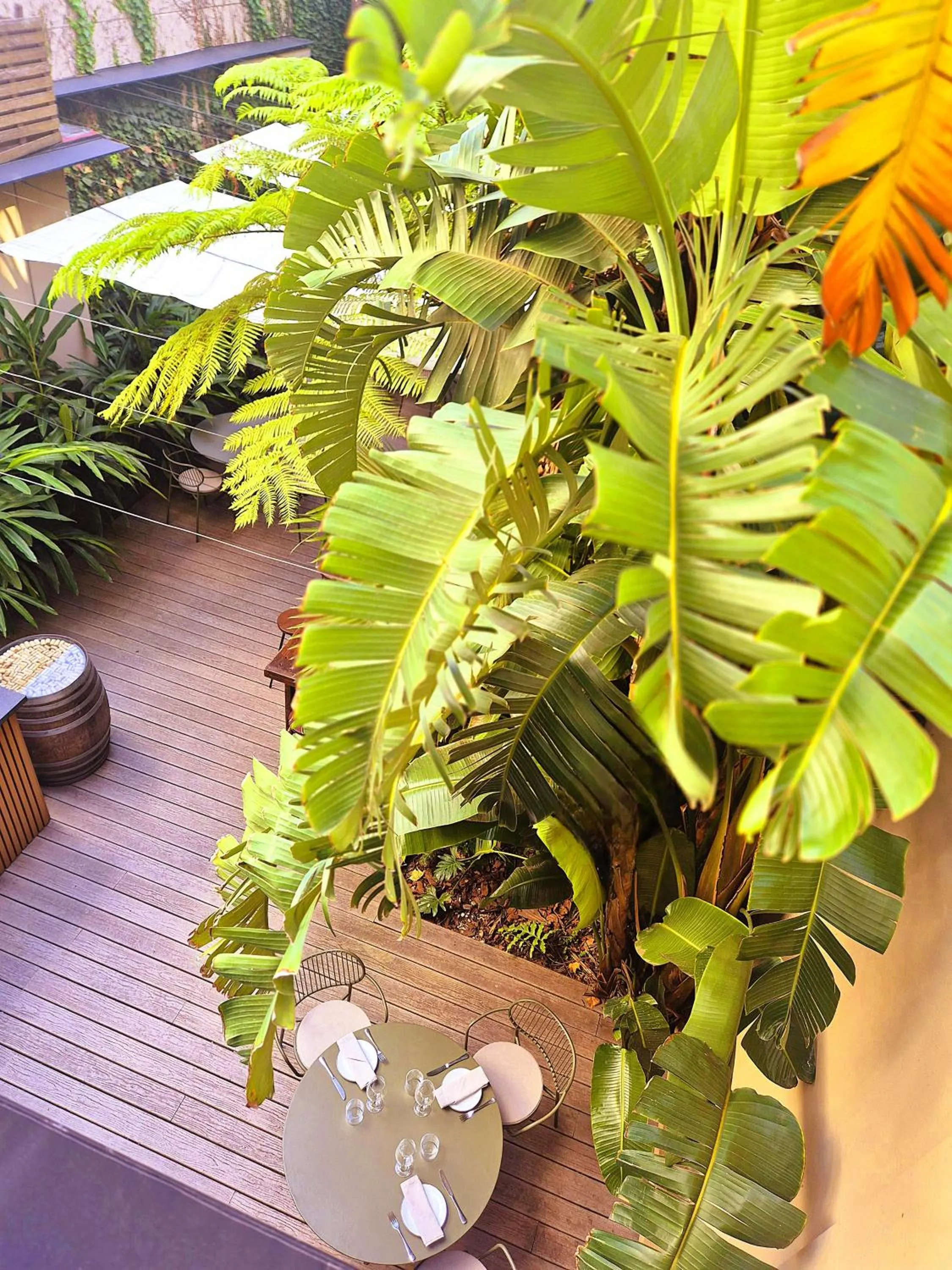 Garden in Fierro Hotel Buenos Aires