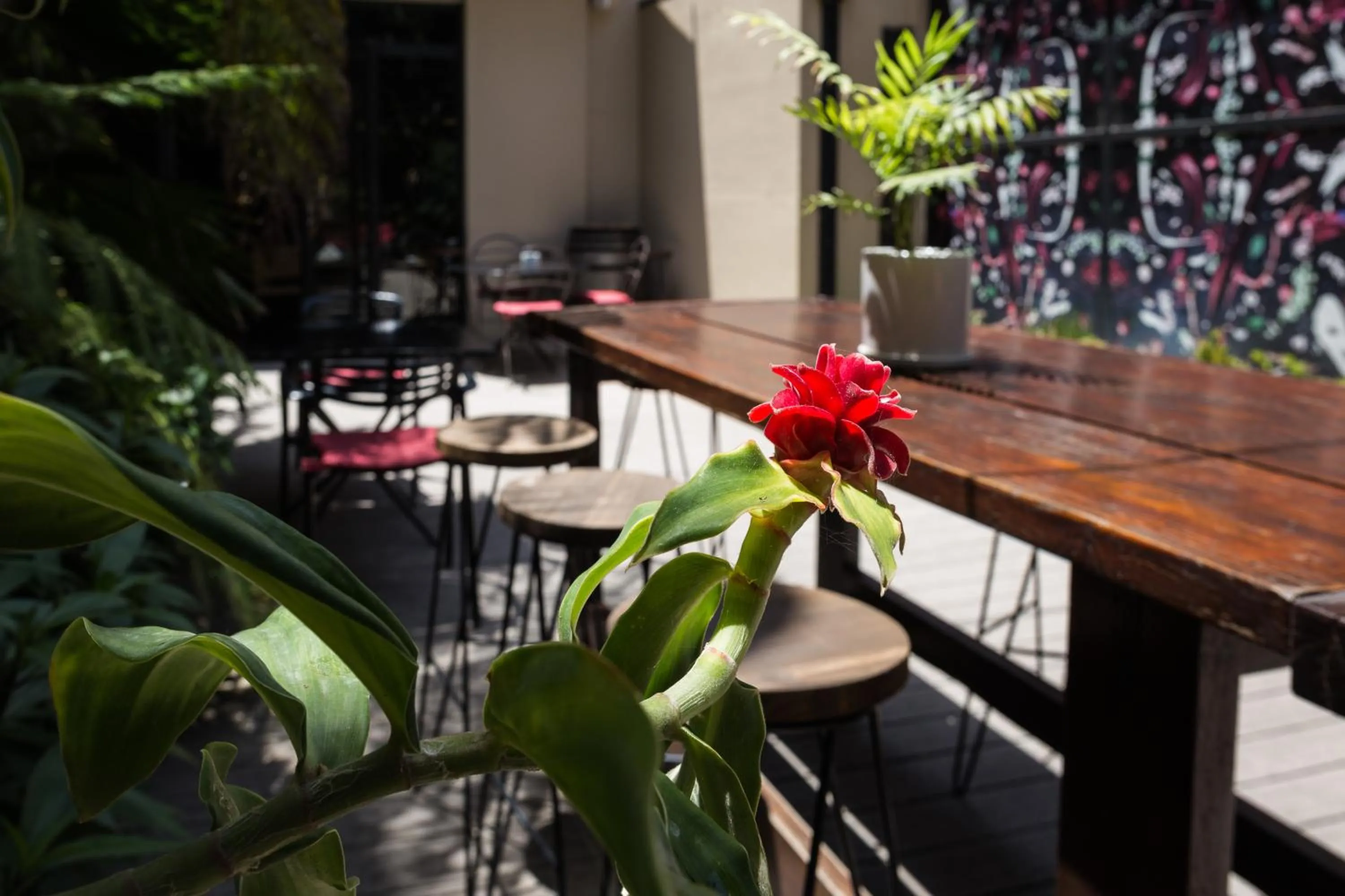 Restaurant/places to eat in Fierro Hotel Buenos Aires