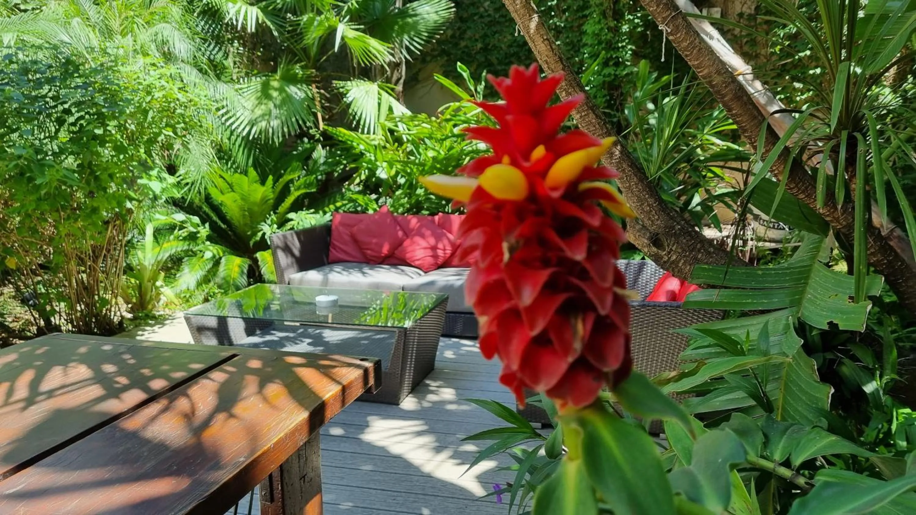 Restaurant/places to eat in Fierro Hotel Buenos Aires