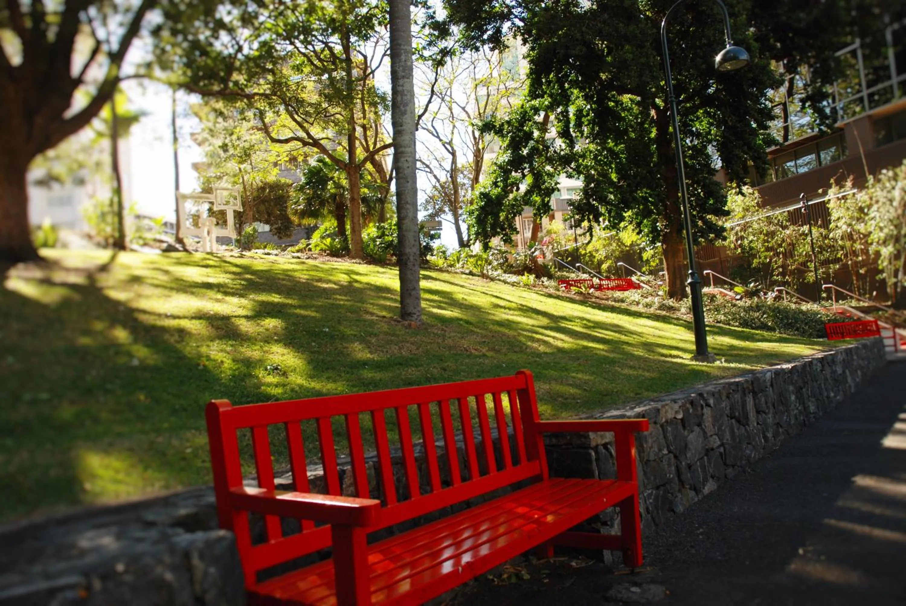 Natural landscape, Garden in Astor Metropole Hotel