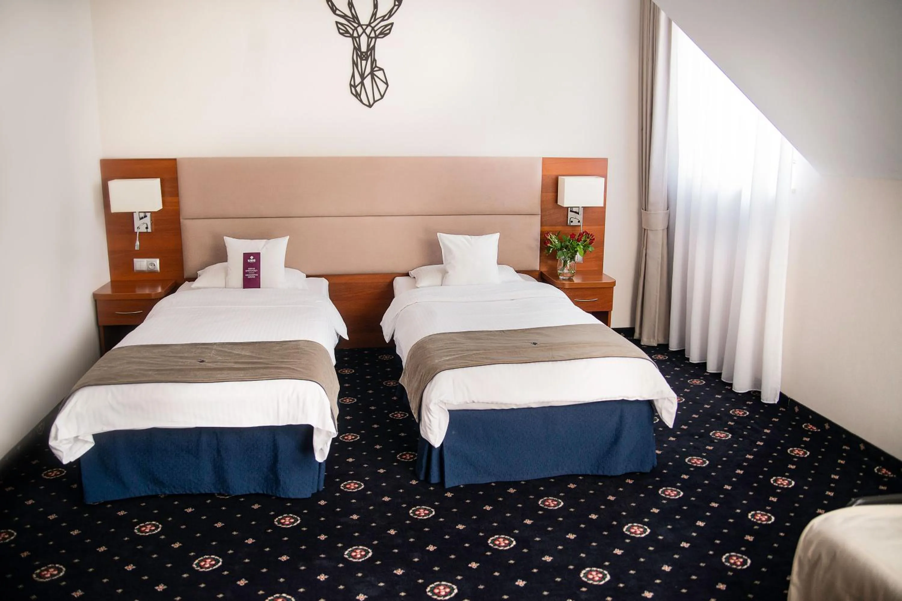 Bed in ParkHotel Łysoń