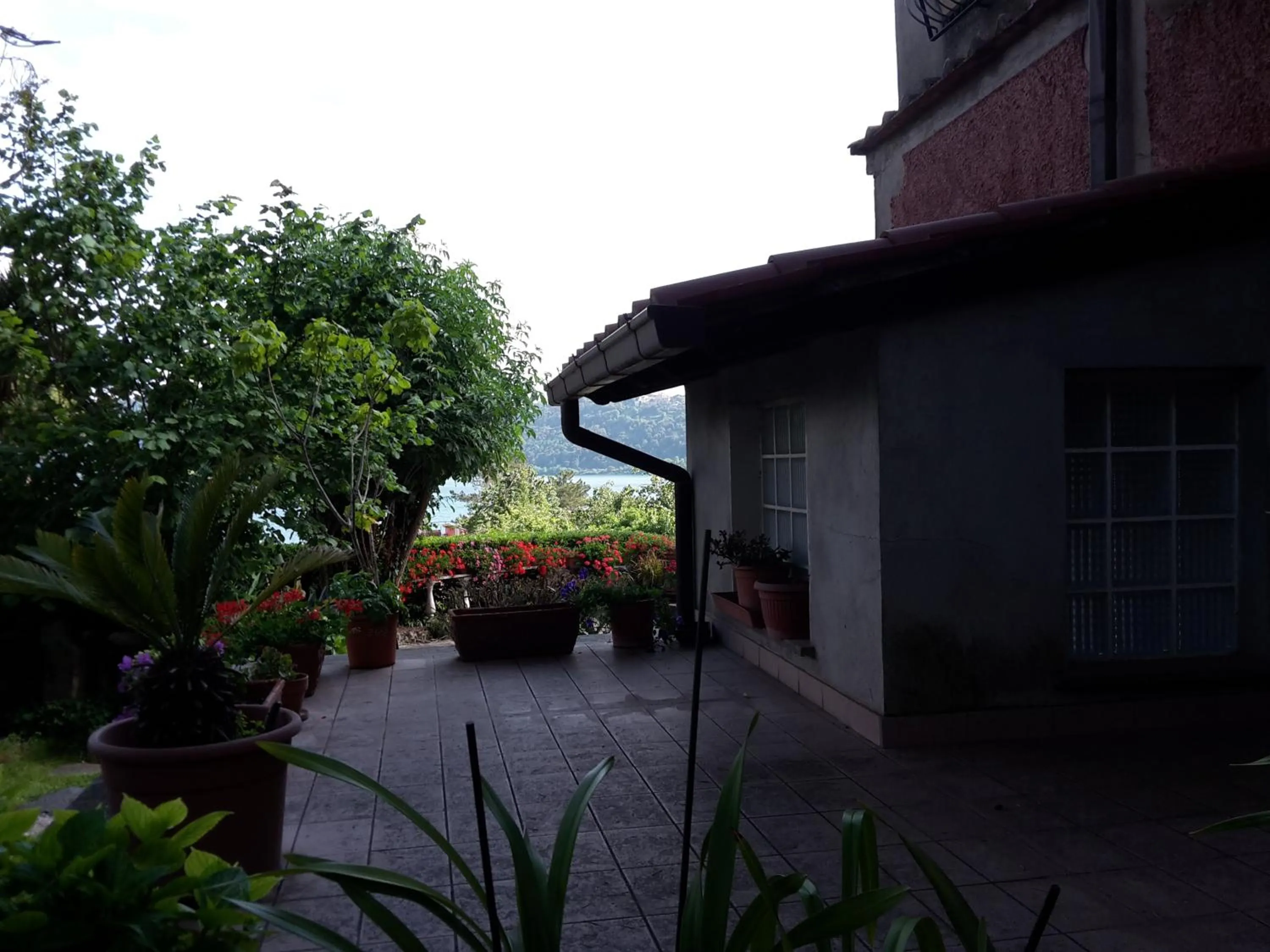 Lake view in Bed&Breakfast "Fiorella" sul Lago
