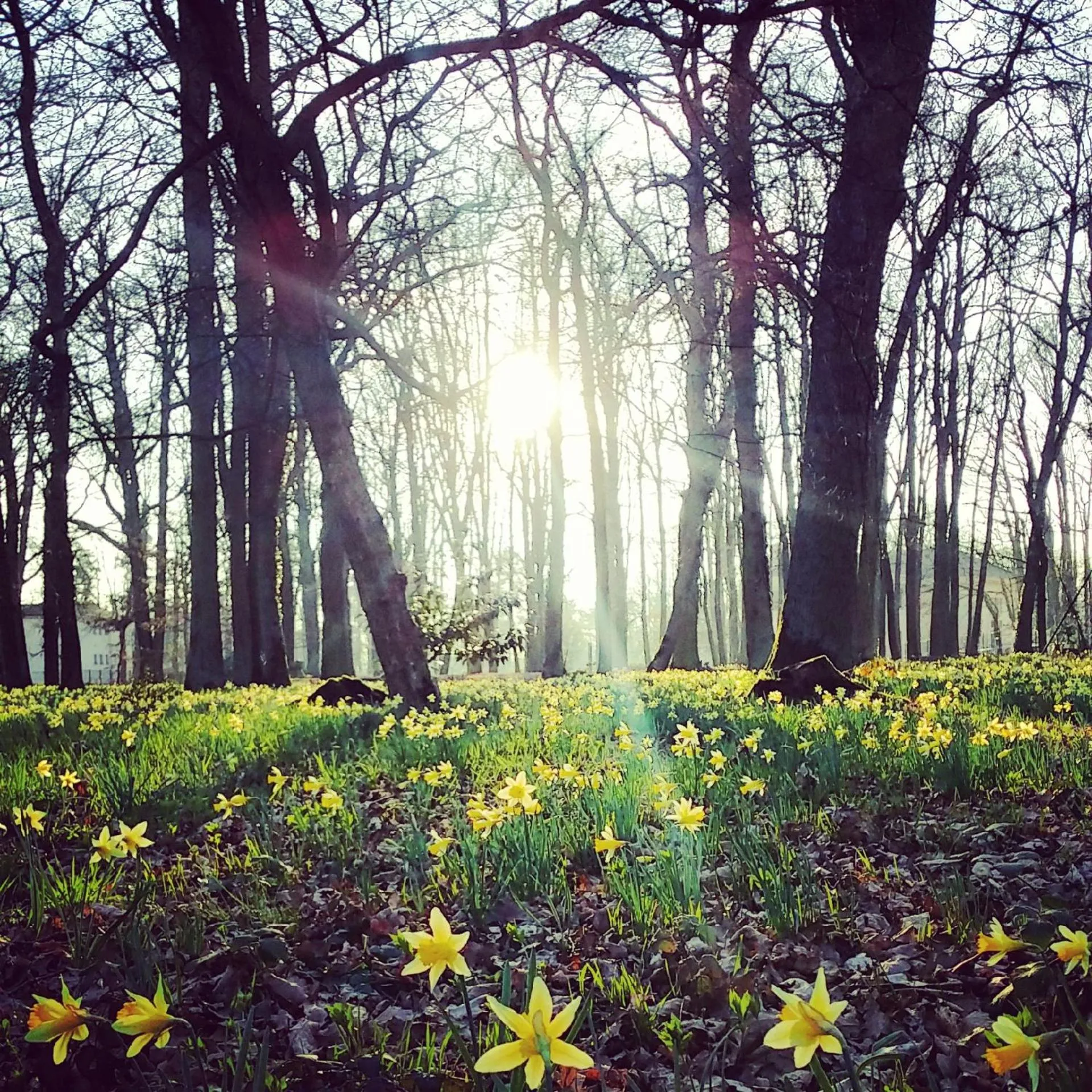 Spring in Hôtel Château de l'Hermitage