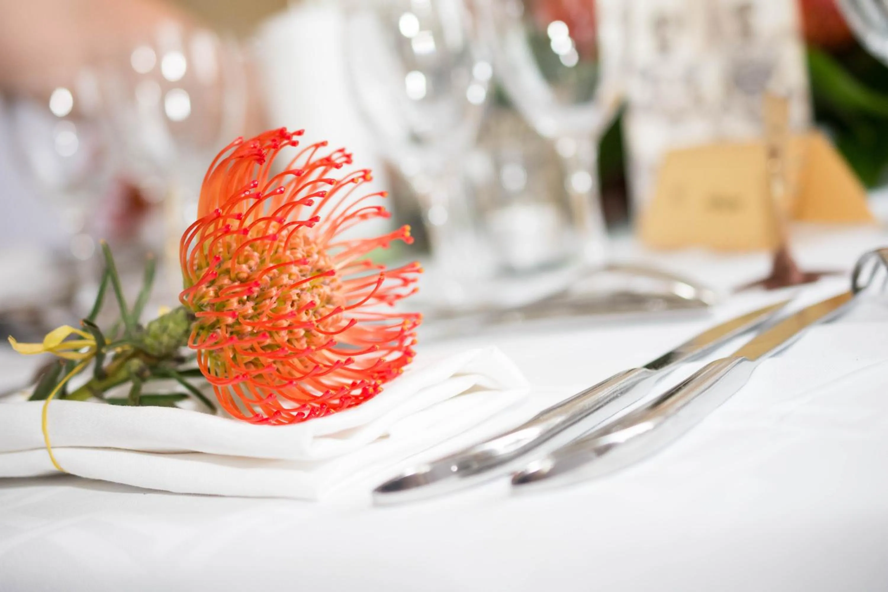 Restaurant/places to eat in Hôtel Château de l'Hermitage