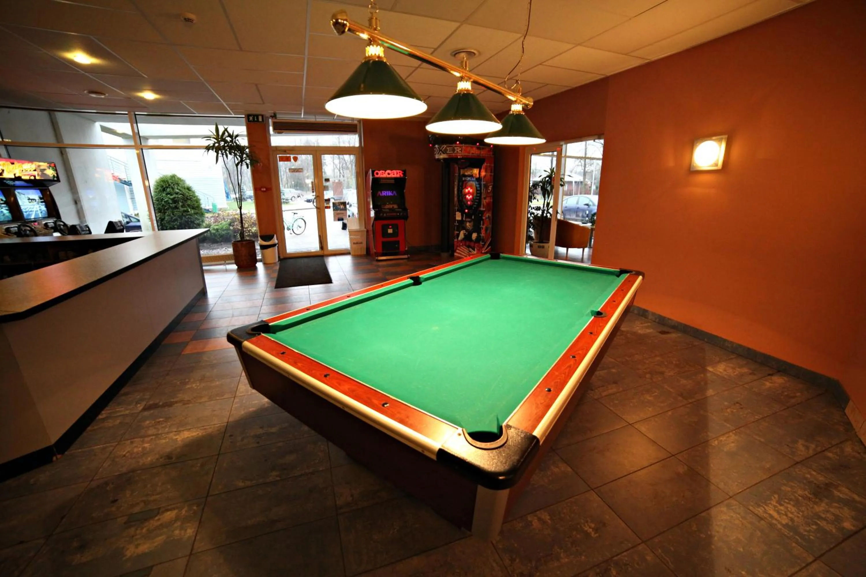 Billiard in Zemgale