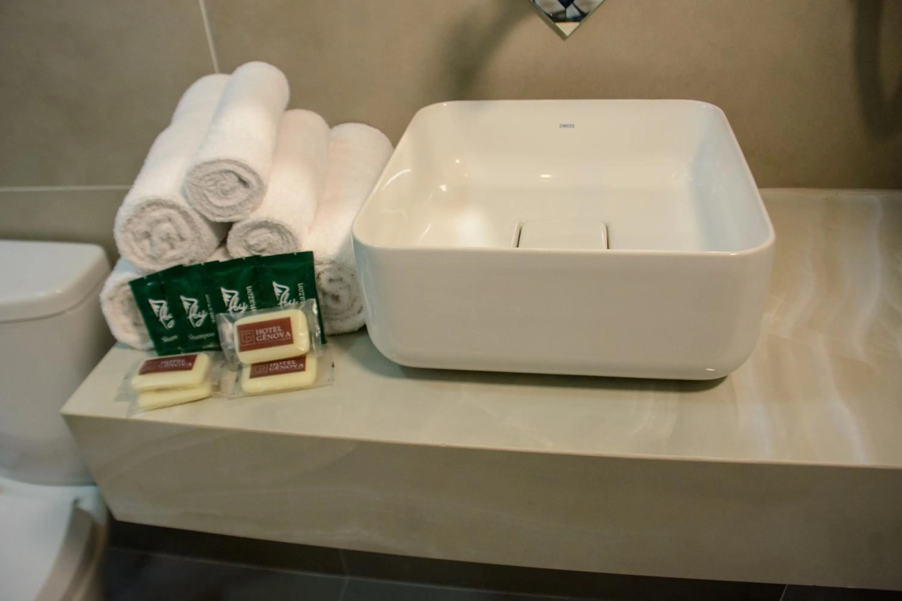 Bathroom in Hotel Gênova BC