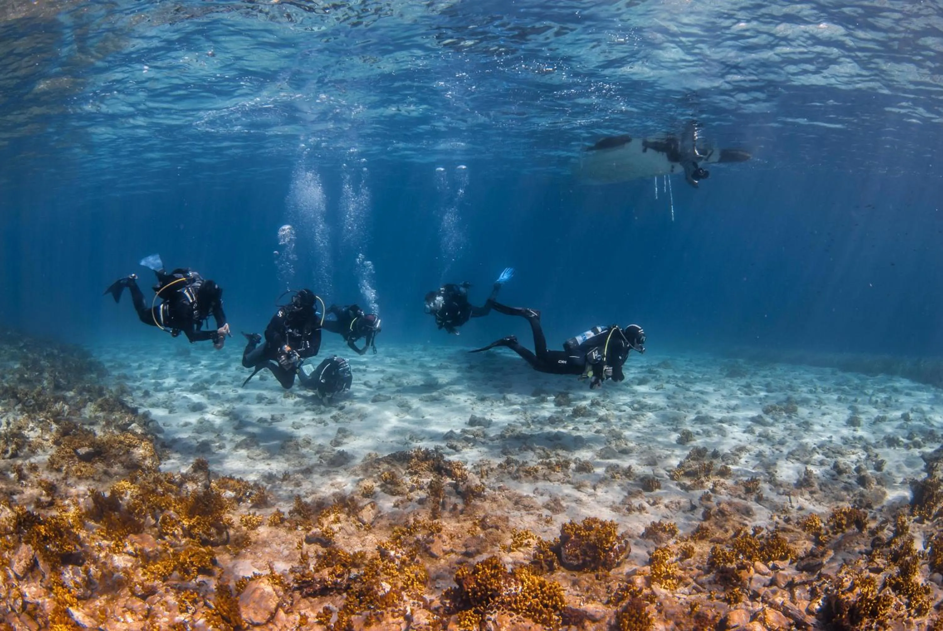 Activities in Alexandros Palace
