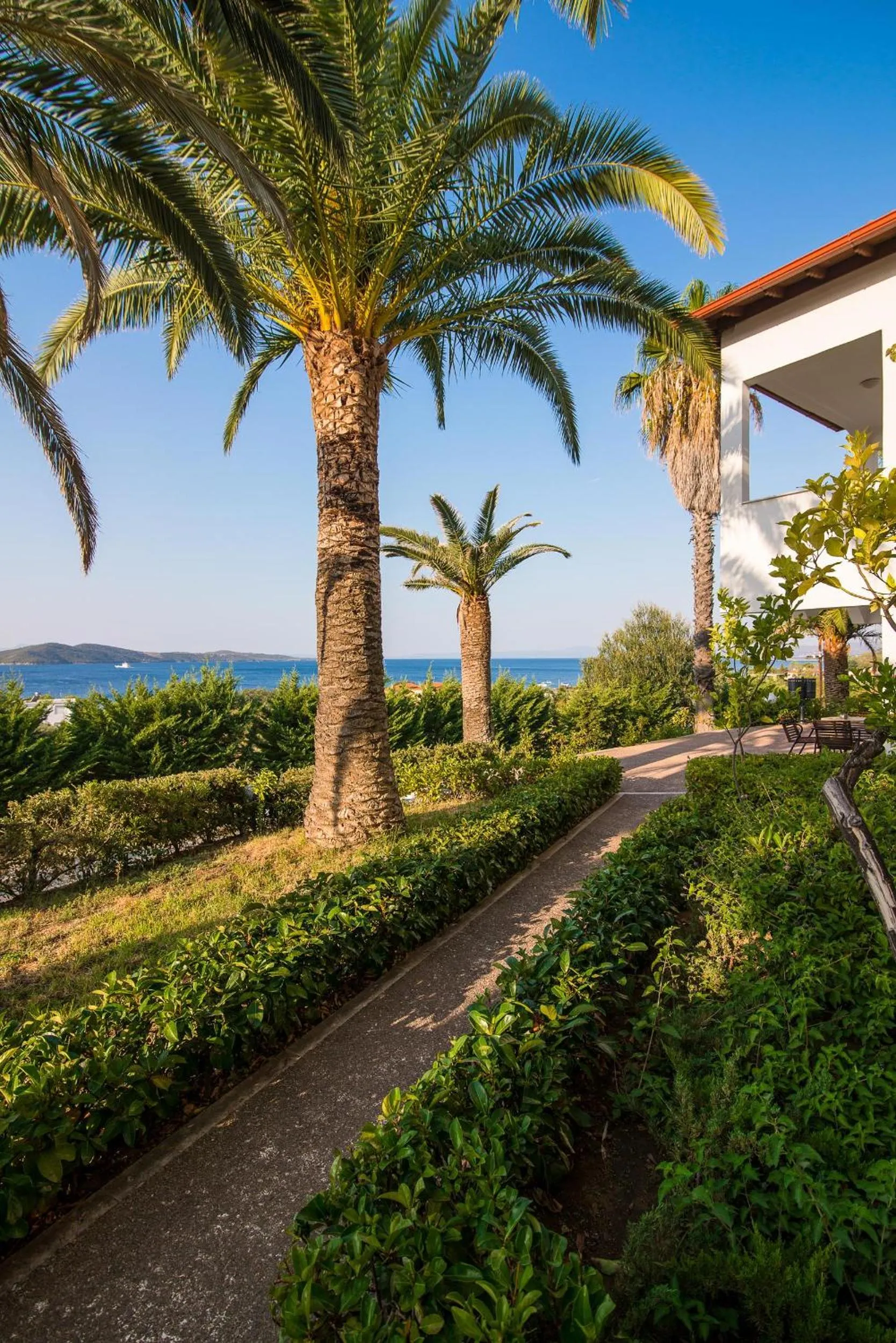 Garden in Alexandros Palace