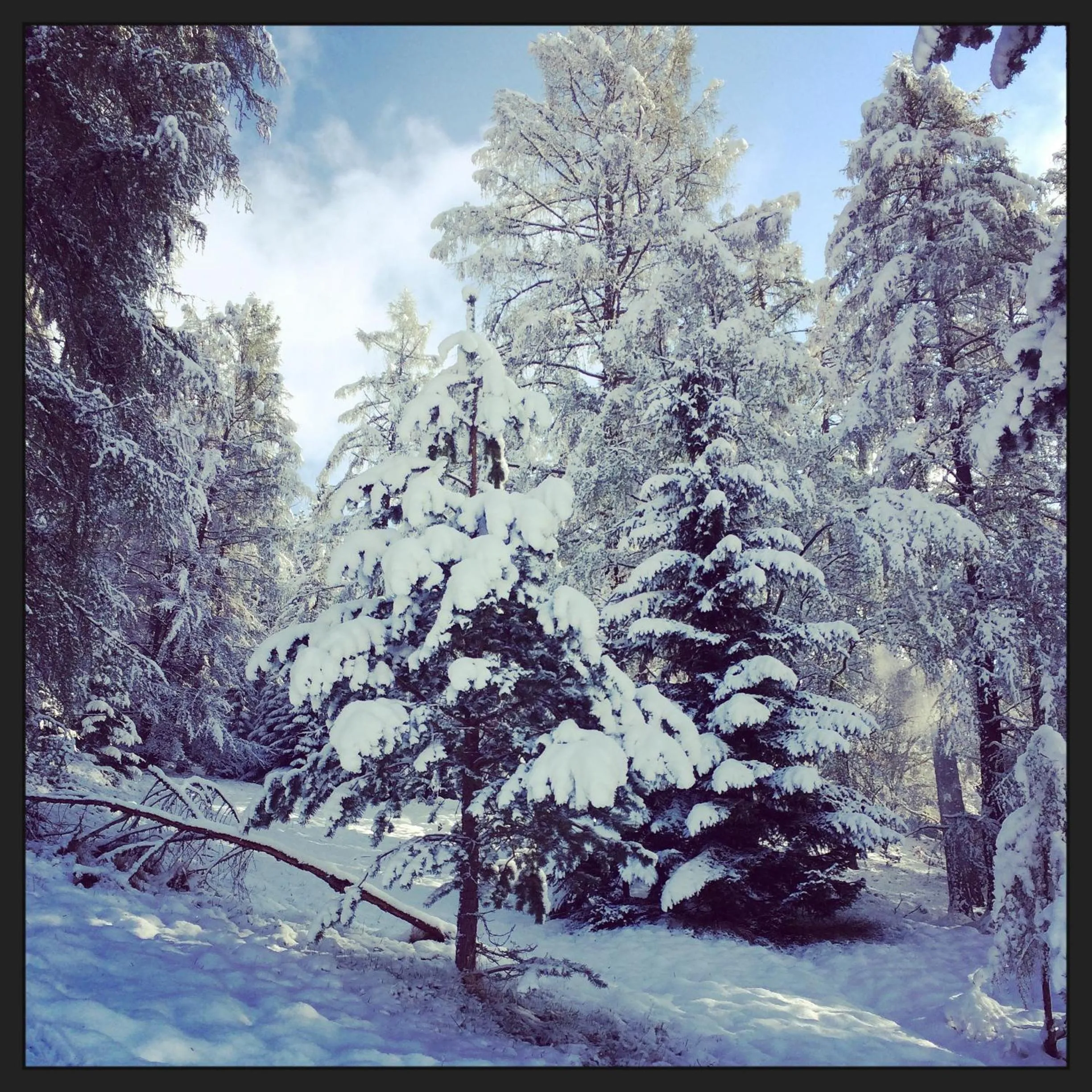 Day in Pension Aschlandhof