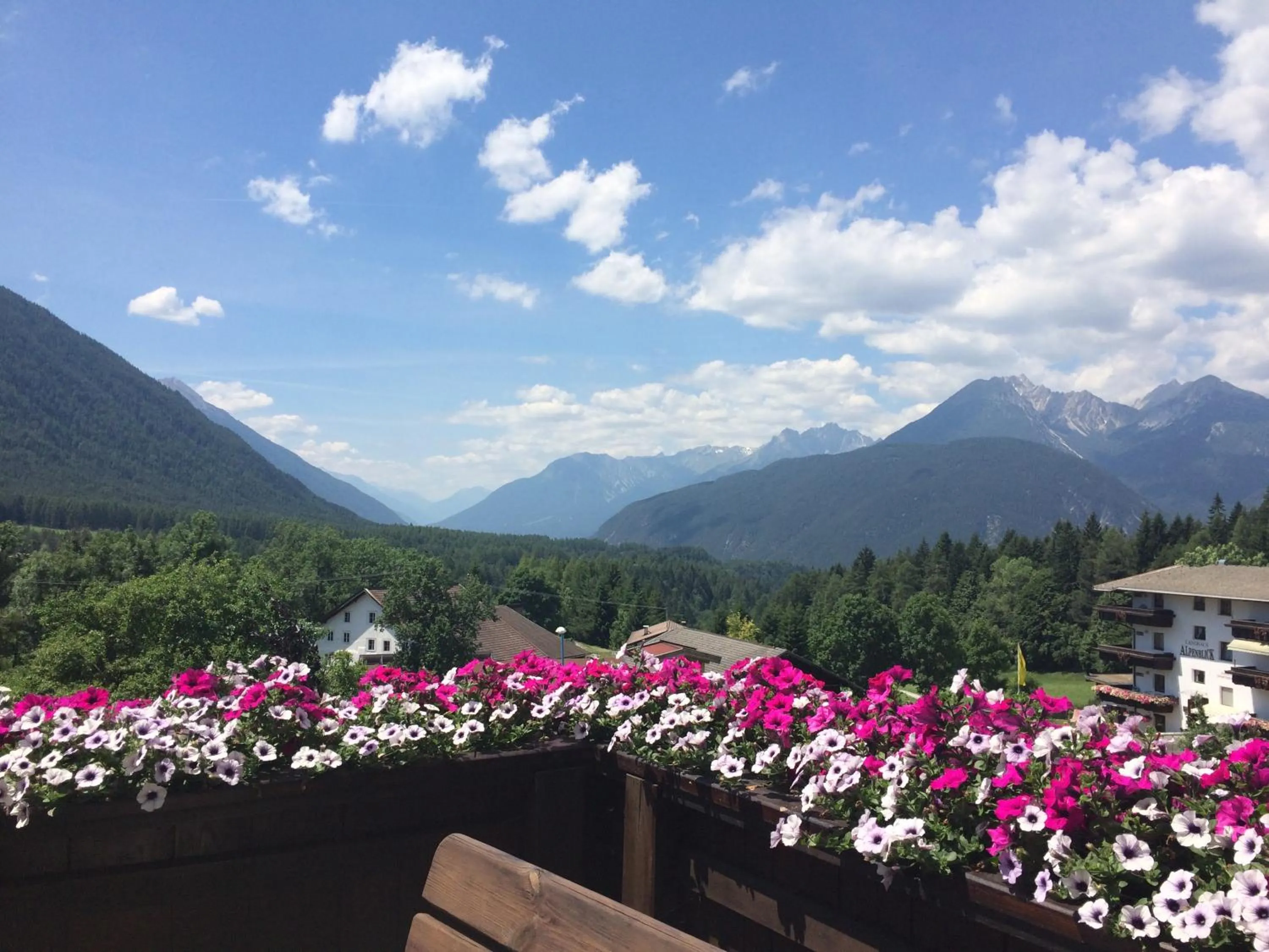 Garden in Pension Aschlandhof