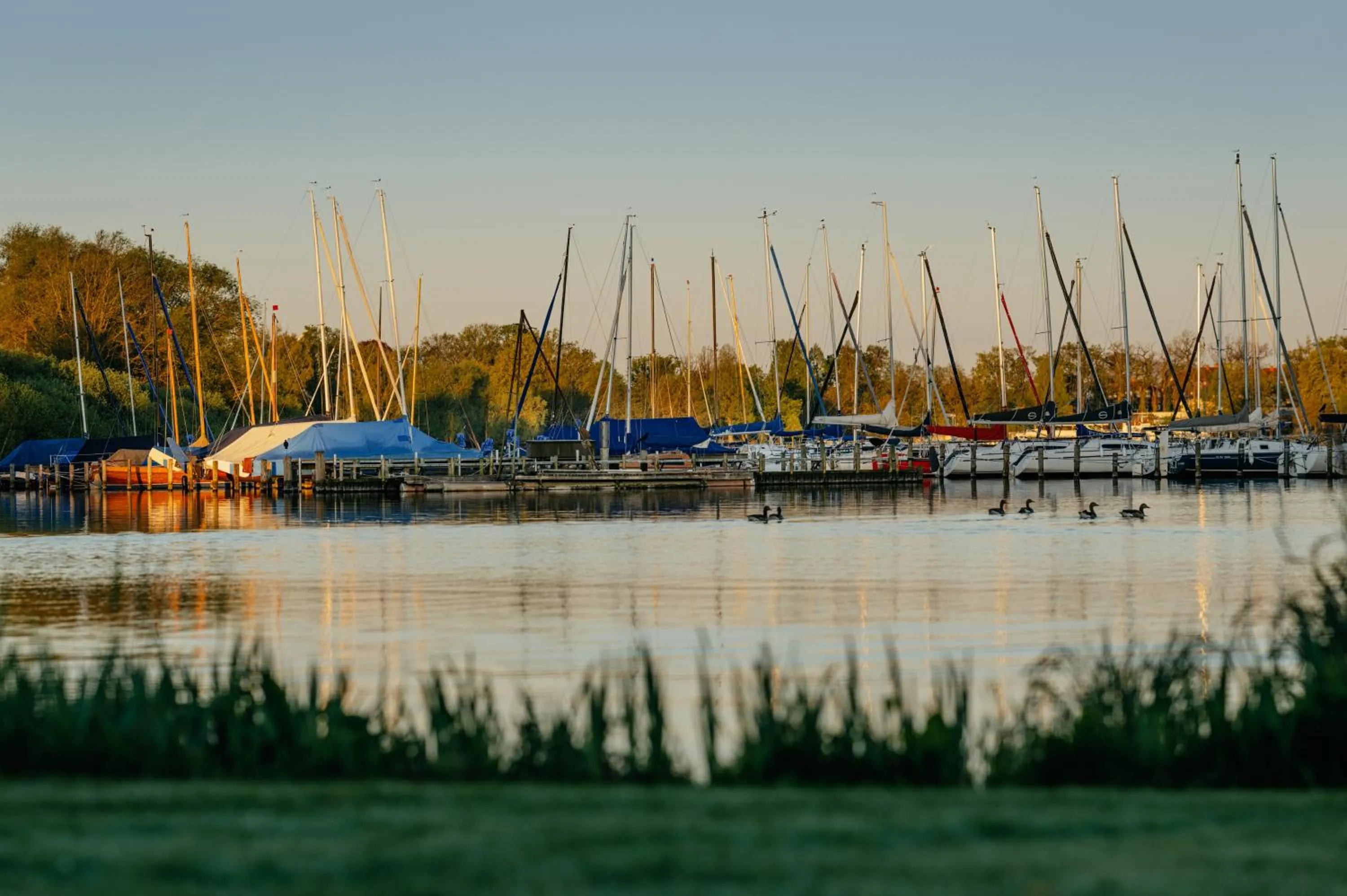 Sea view in Romantik Hotel Jagdhaus Eiden am See