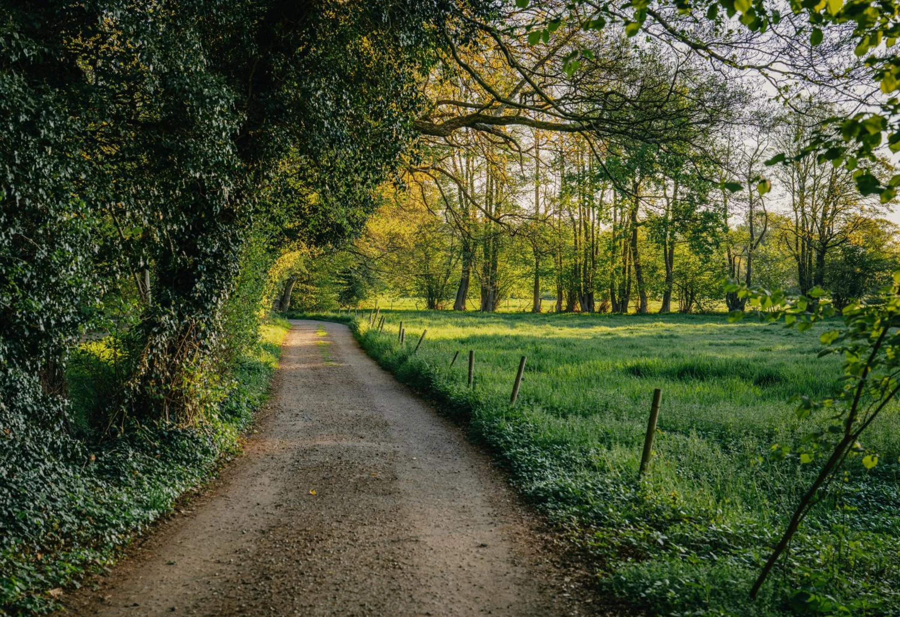 Nearby landmark in Romantik Hotel Jagdhaus Eiden am See