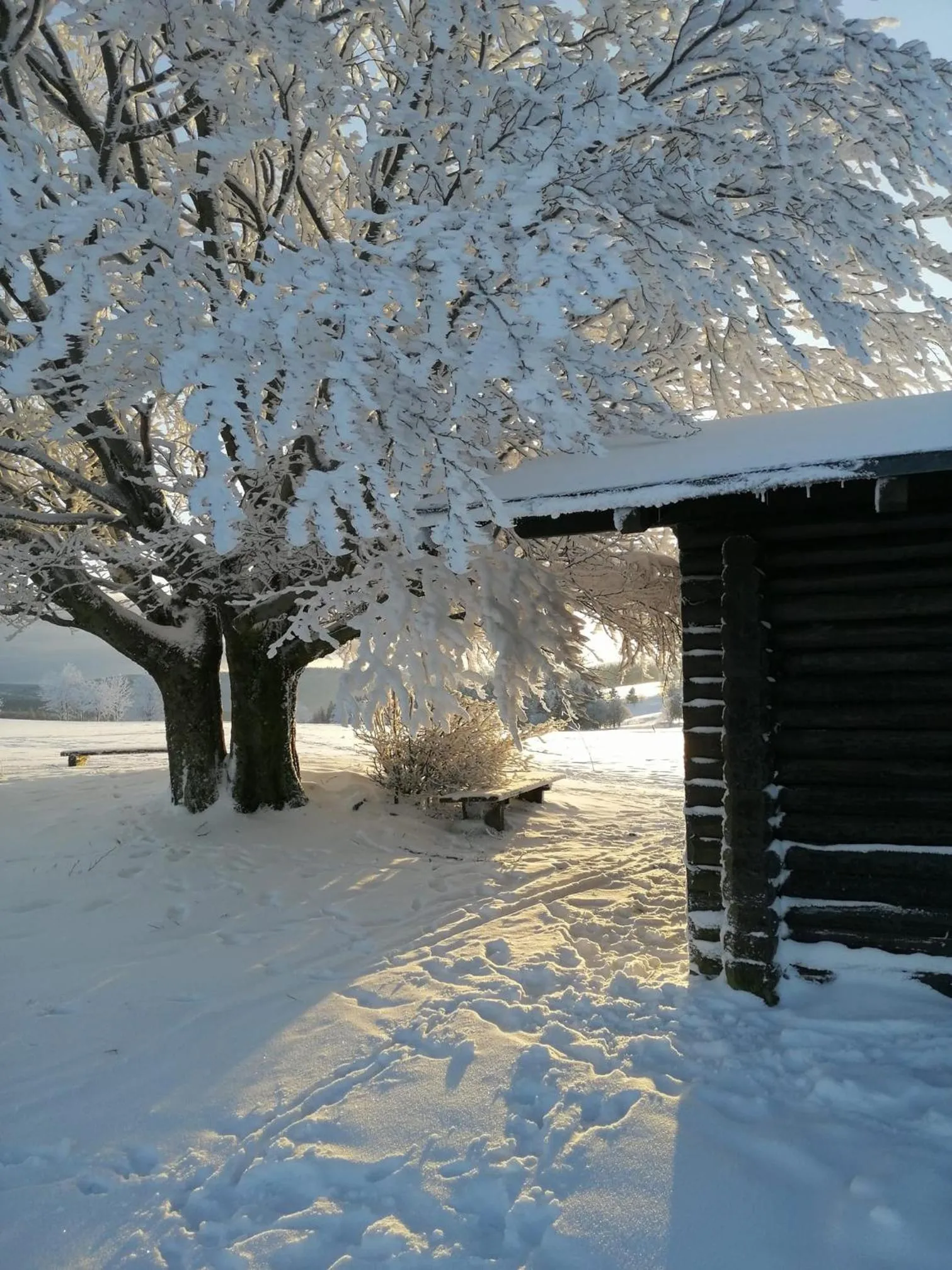 Natural landscape in Familien-Hotel Am Tränkbachtal Frauenwald
