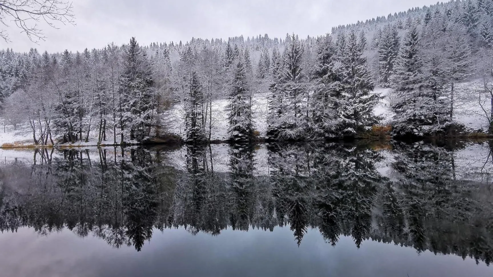 Natural landscape in Familien-Hotel Am Tränkbachtal Frauenwald