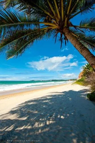 Beach in Pousada Berro do Jeguy