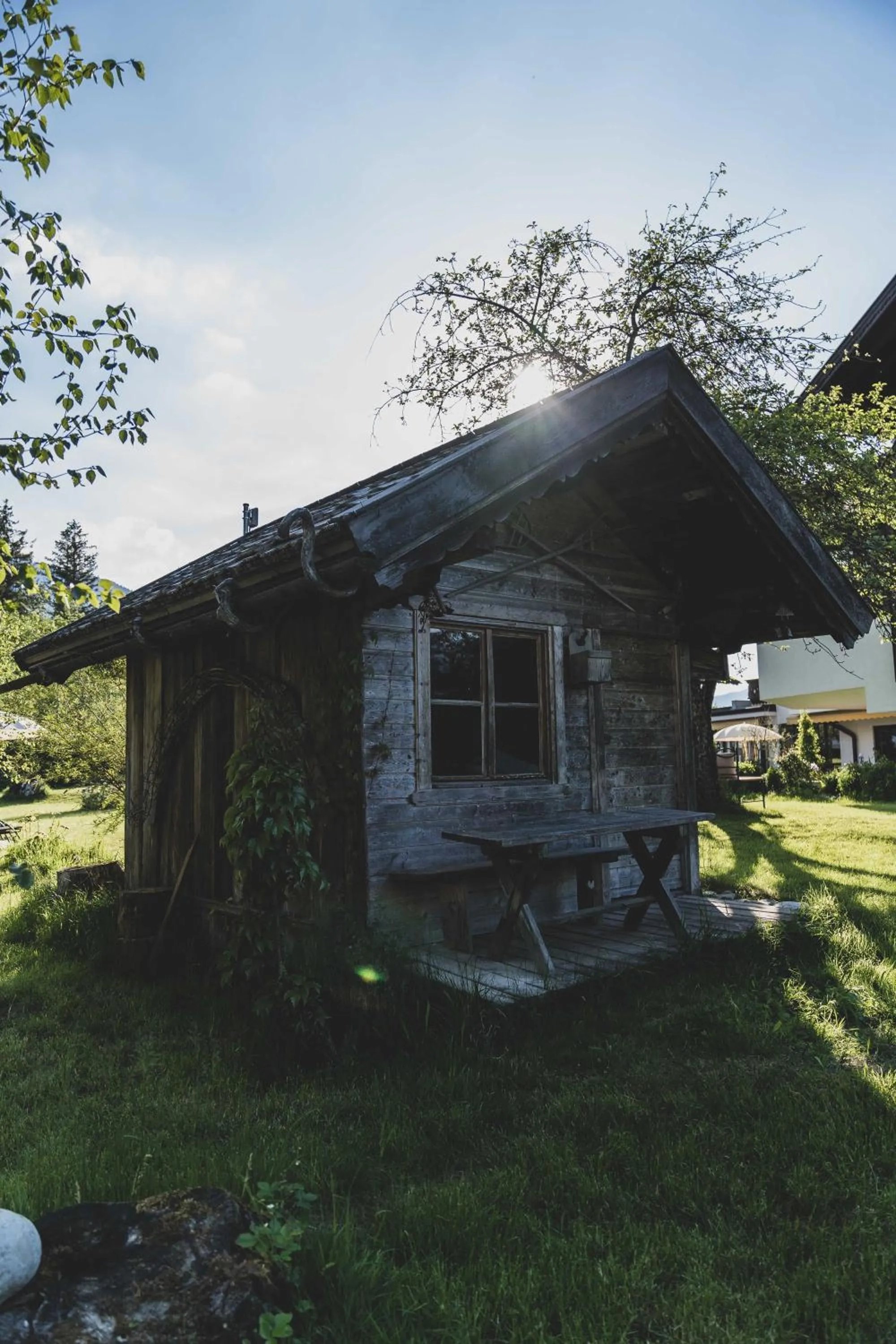 Garden in Bergrose Hideaway