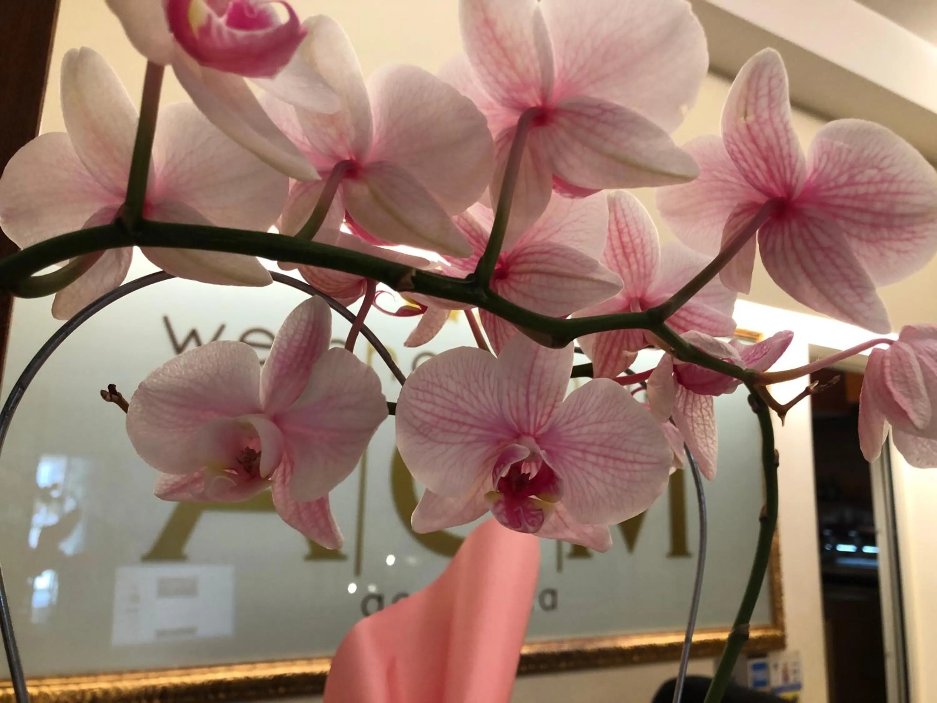 Lobby or reception in ACasaMia WelcHome Hotel